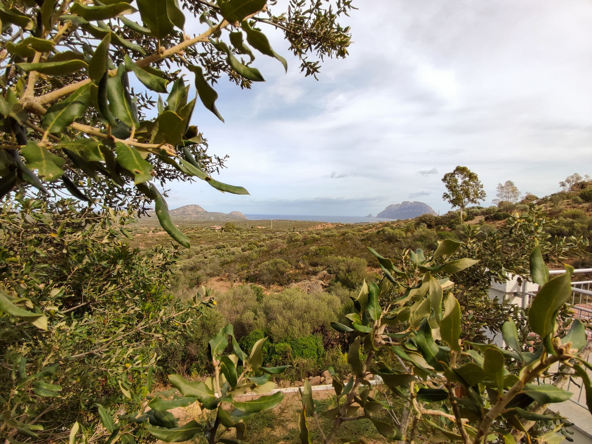 View