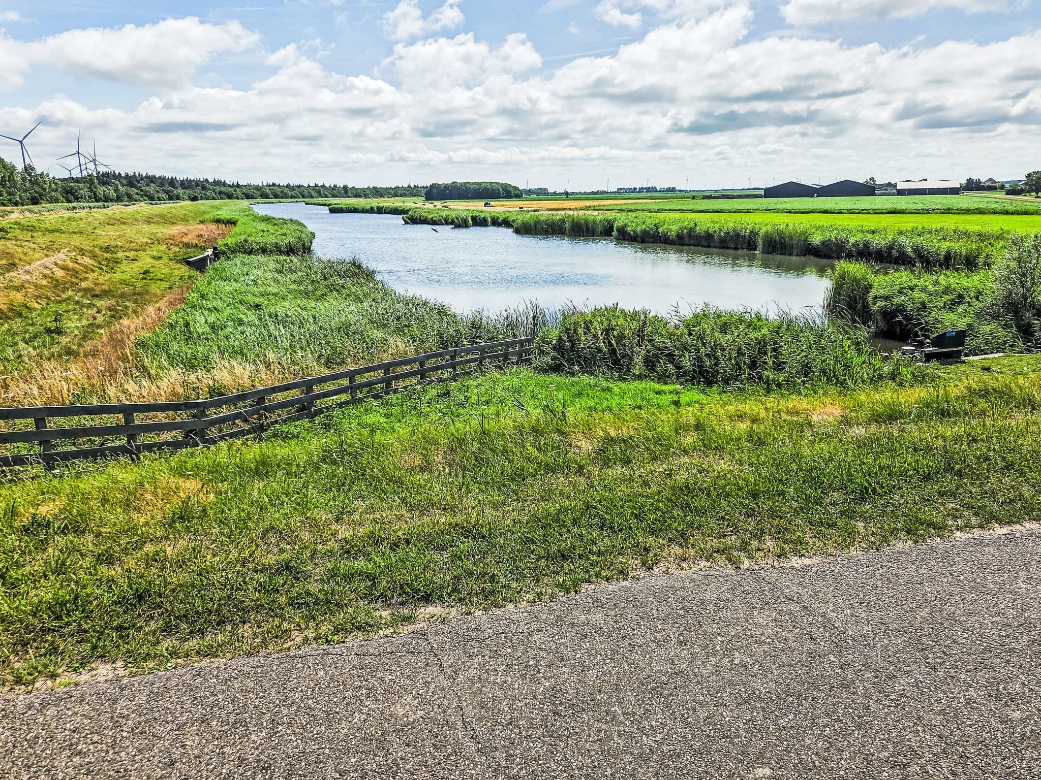 View
