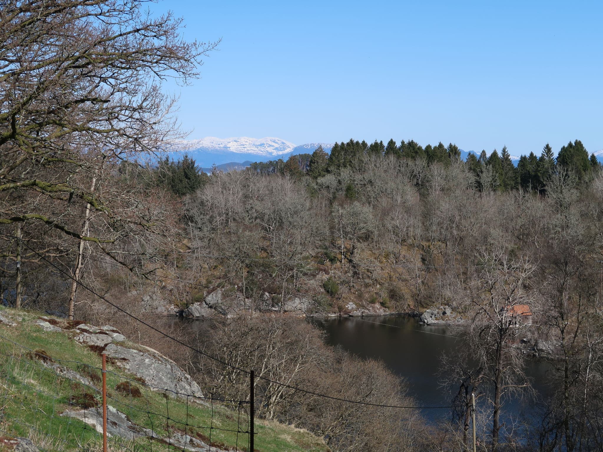 View