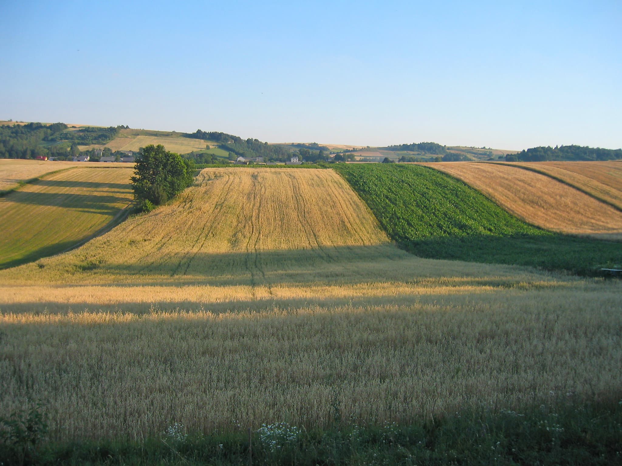 View