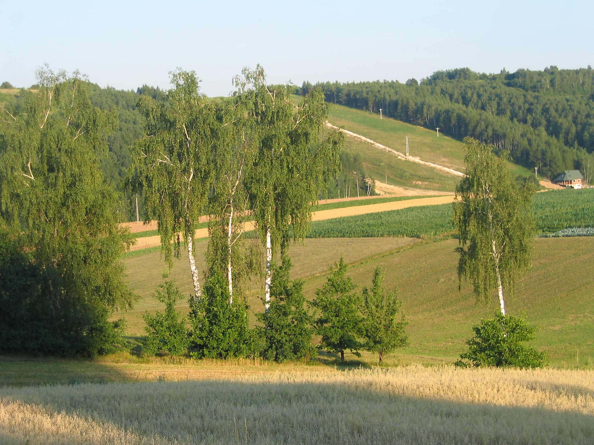 View