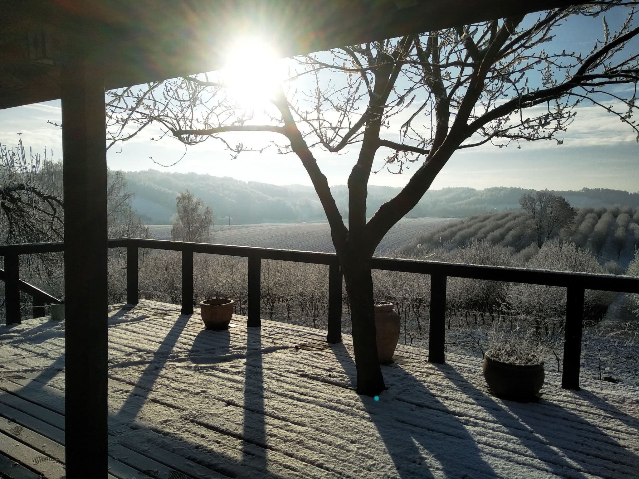 View