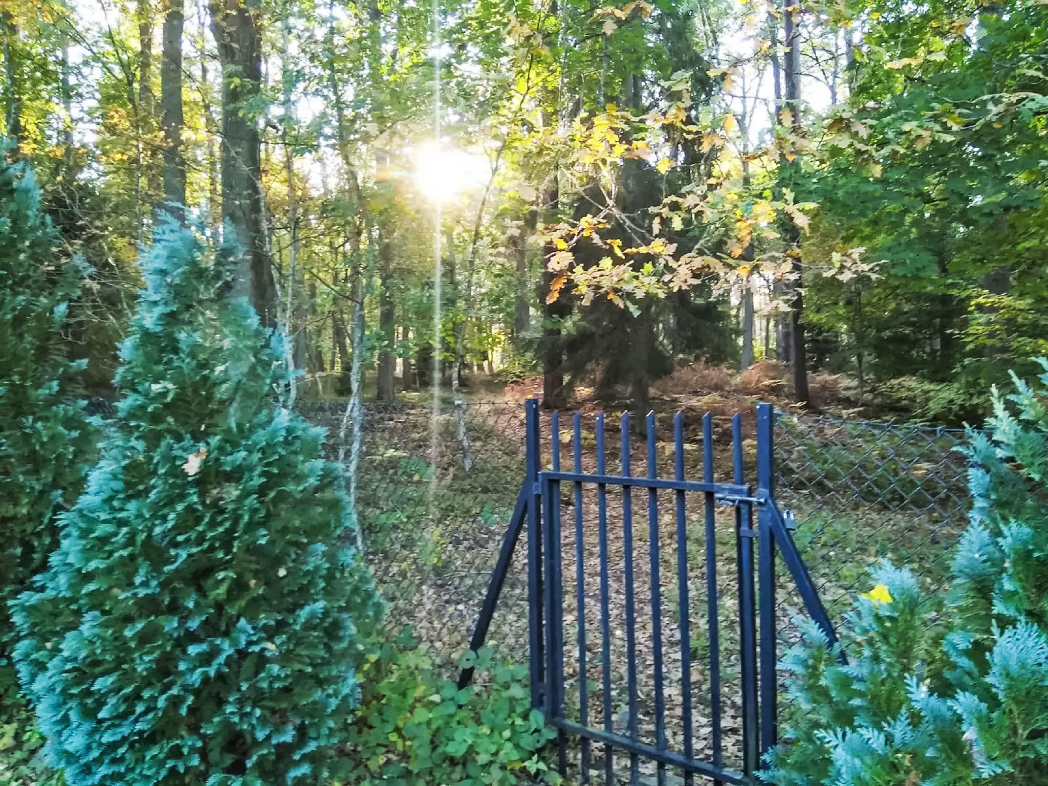 Outdoor