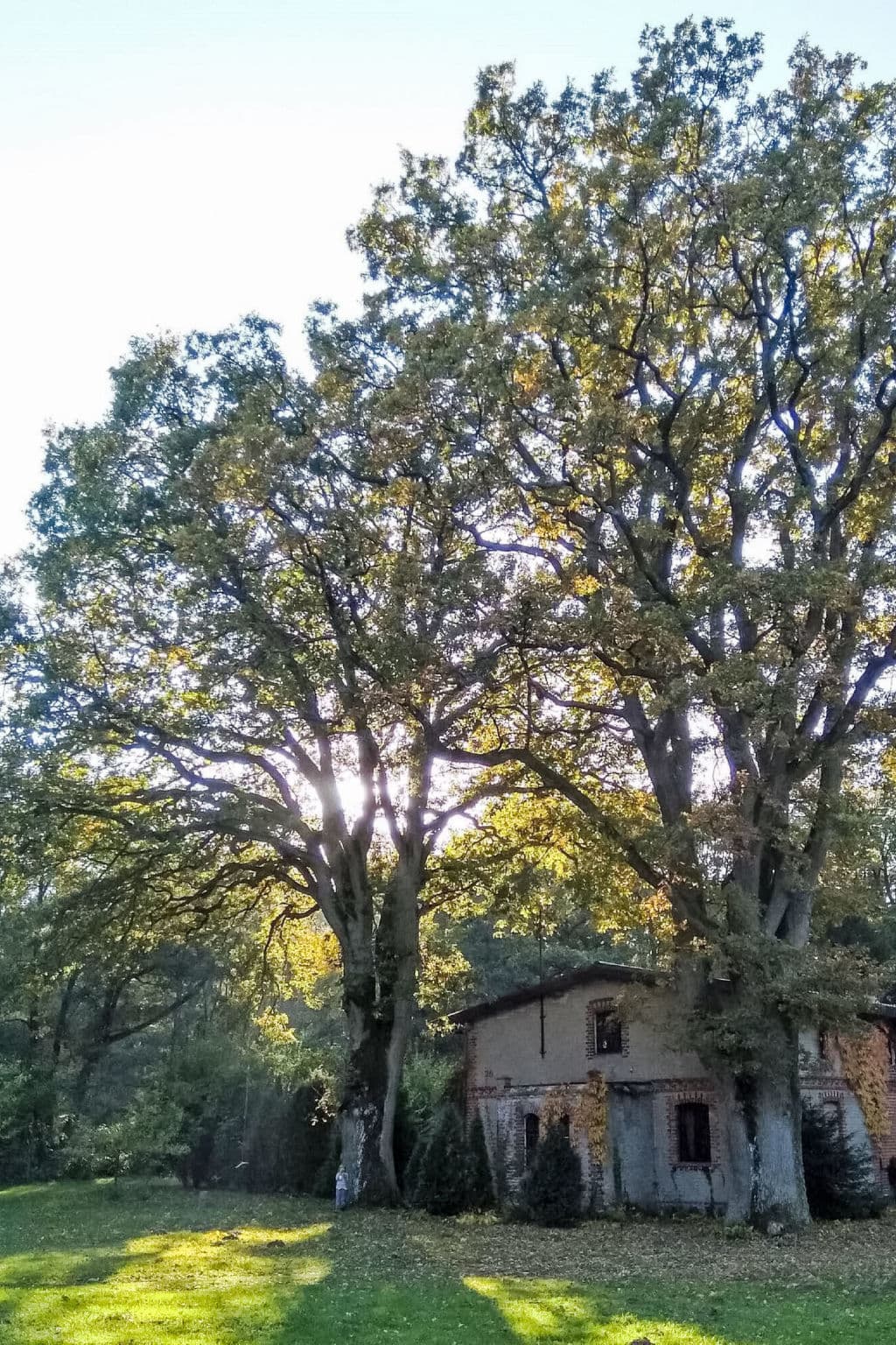 Outdoor
