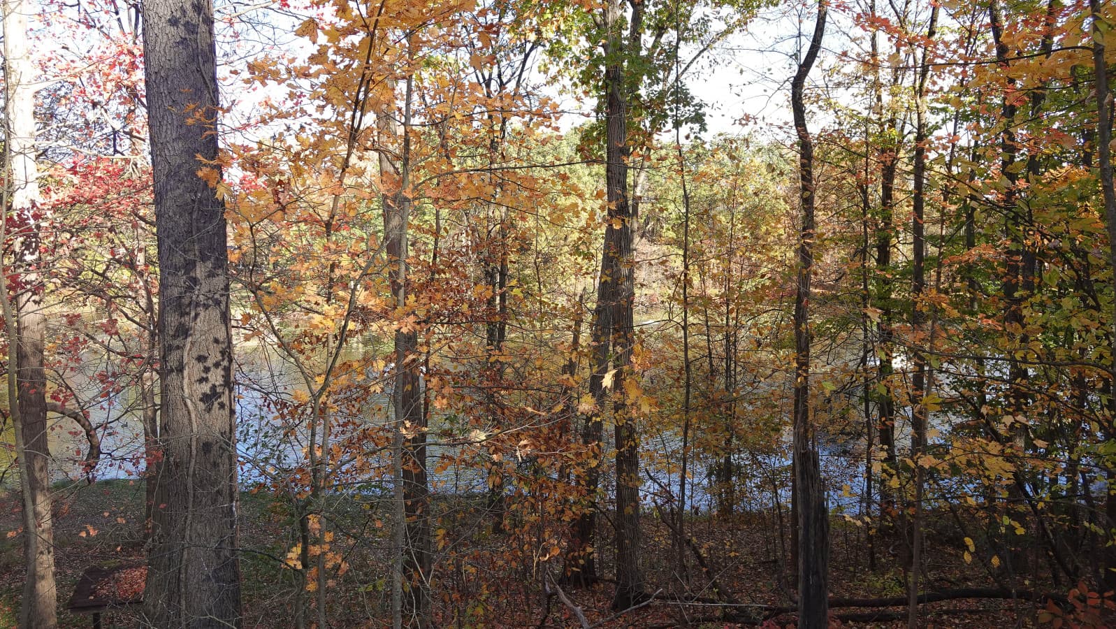 seasons outside 5.jpg