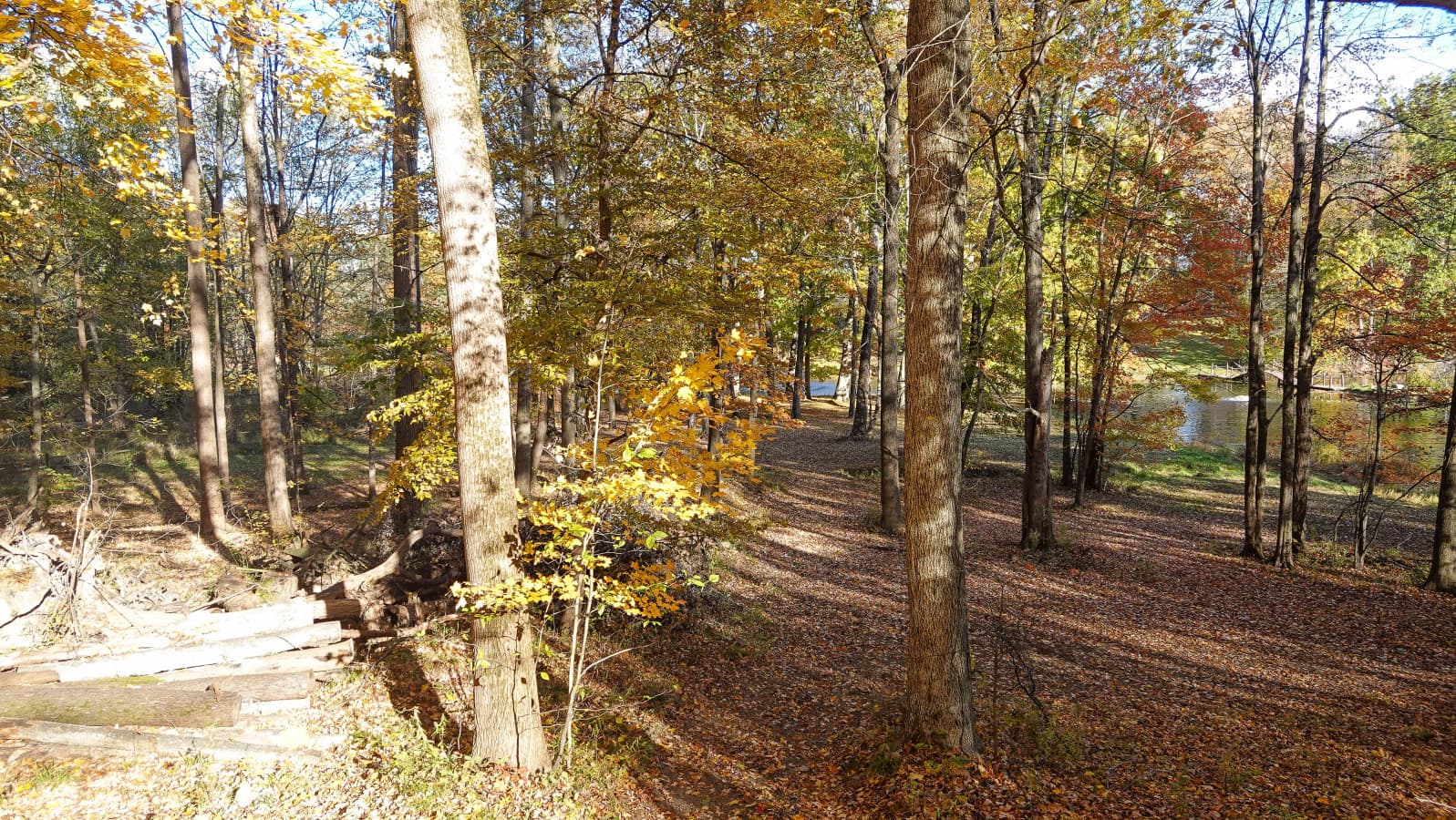 seasons outside 8.jpg