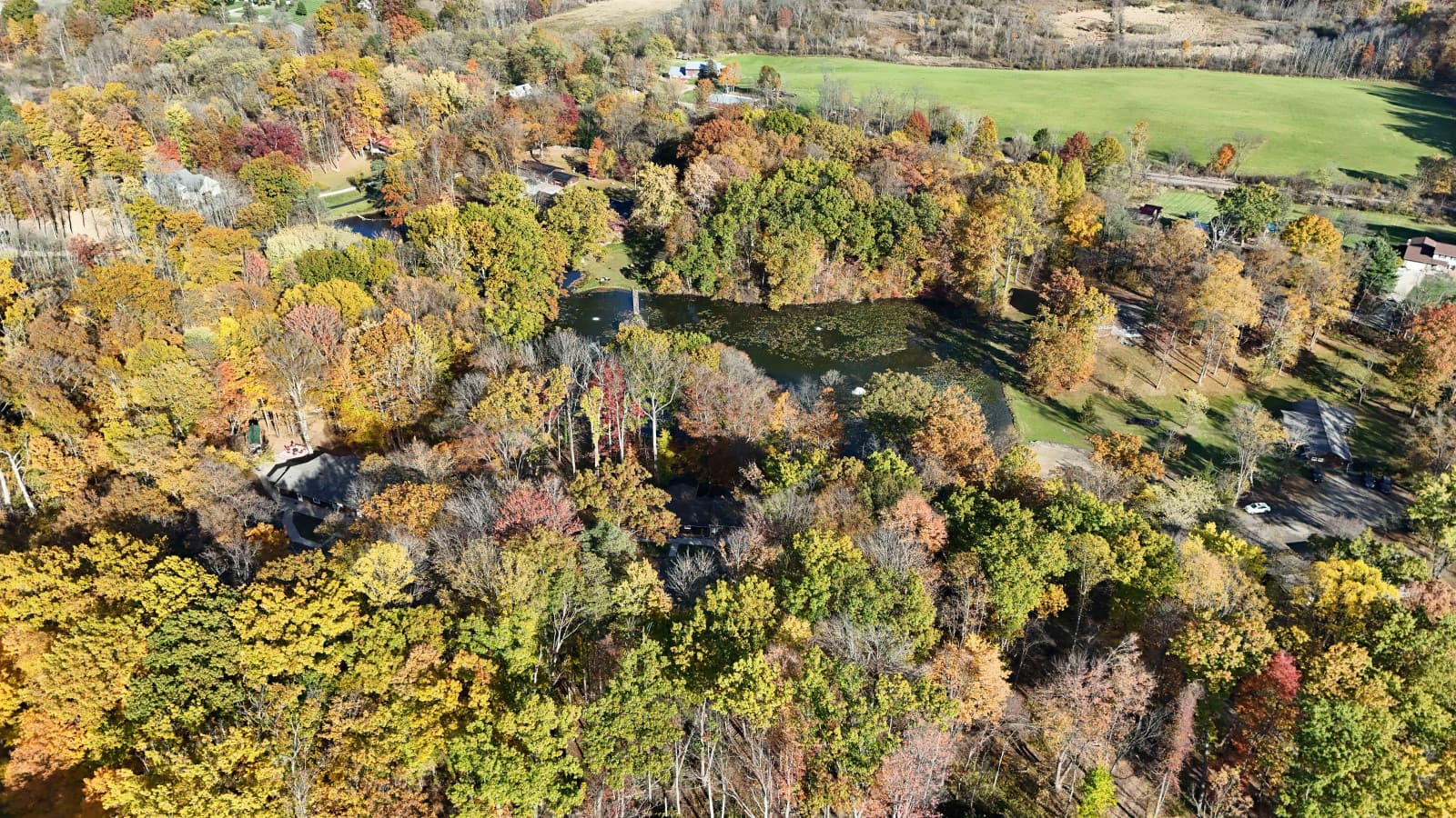 seasons outside 1.jpg