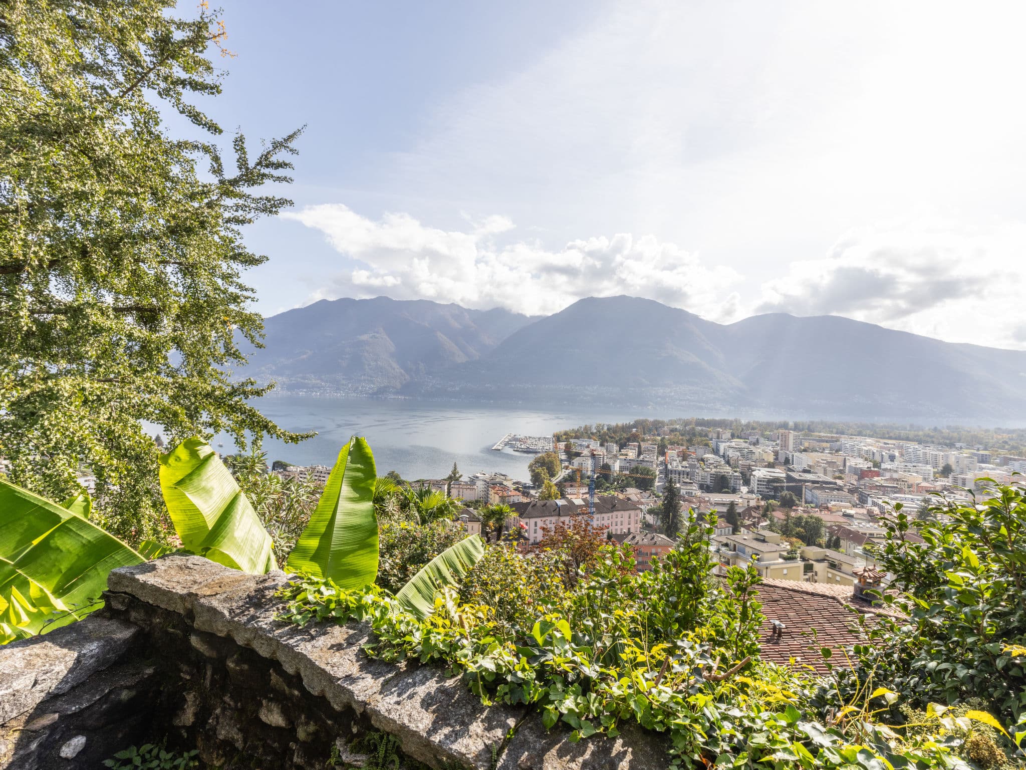 View