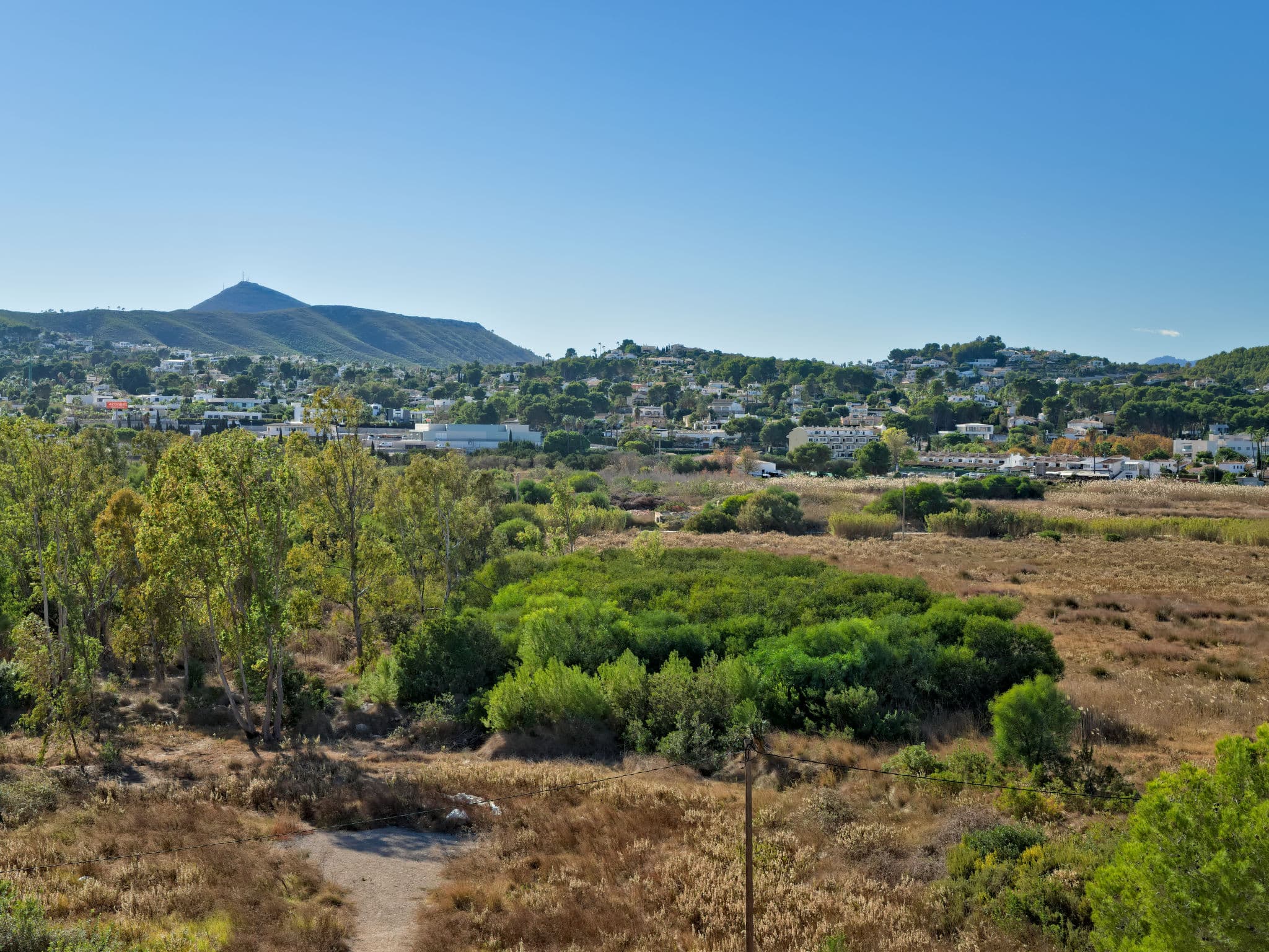 View