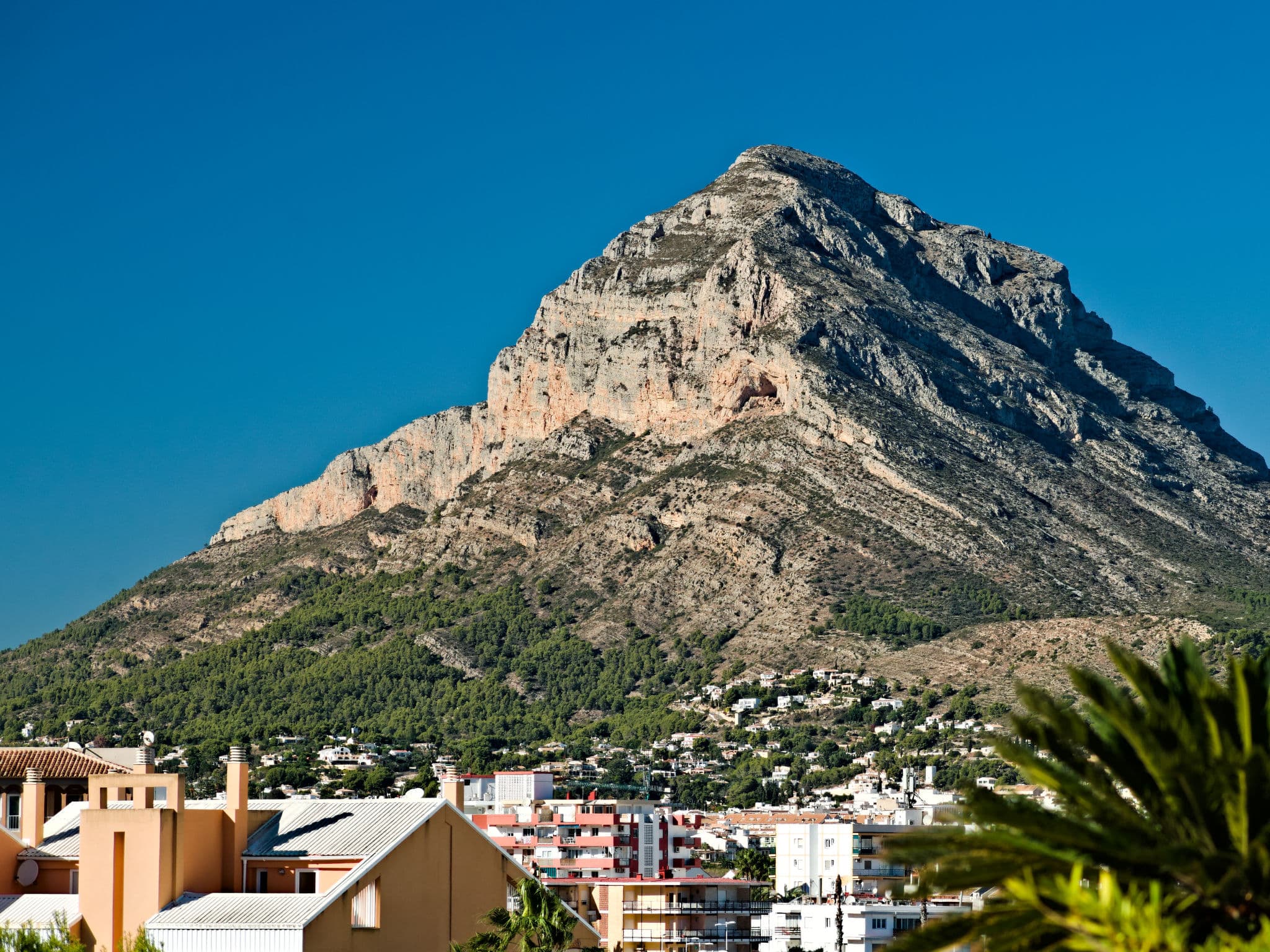 View
