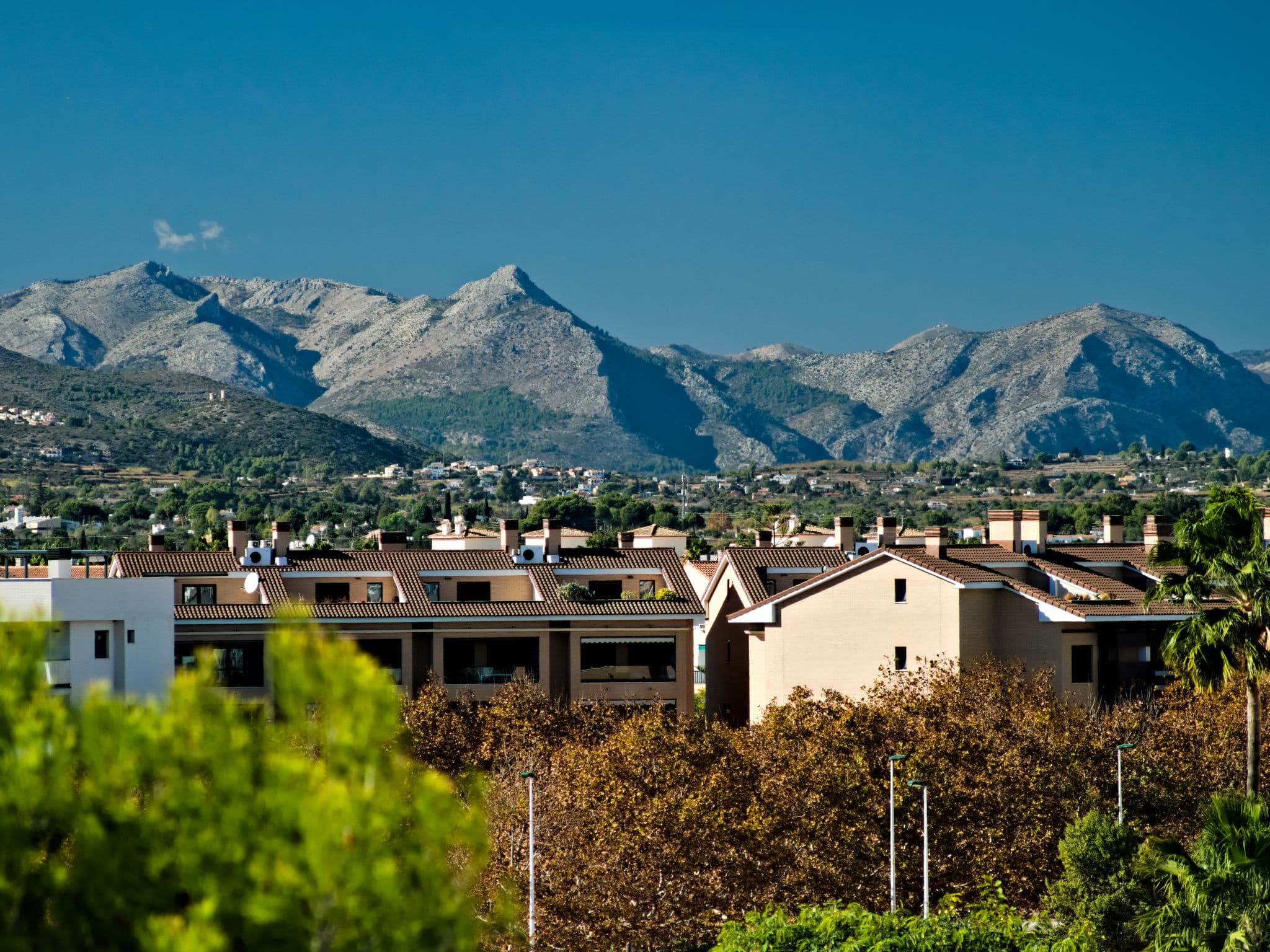 View