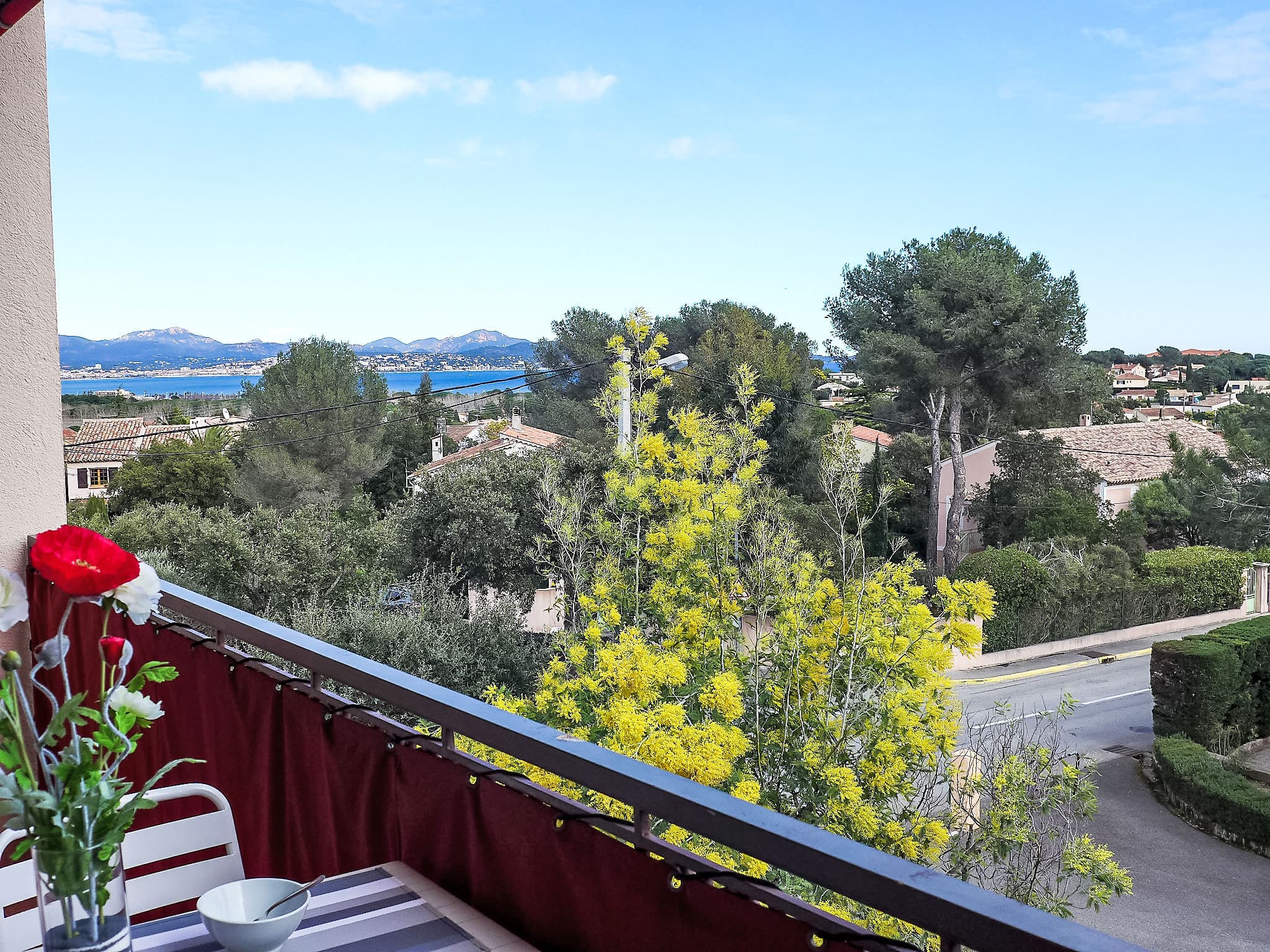 View