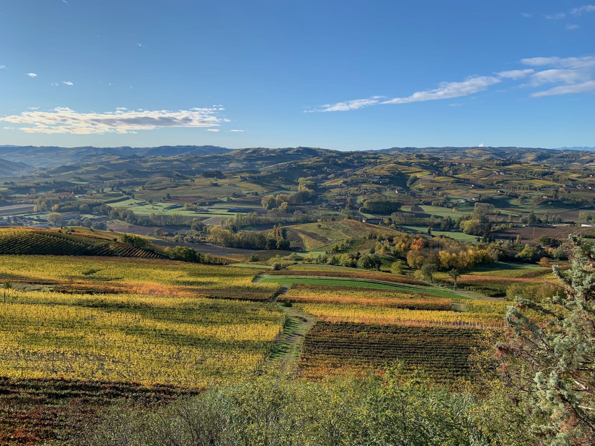 View