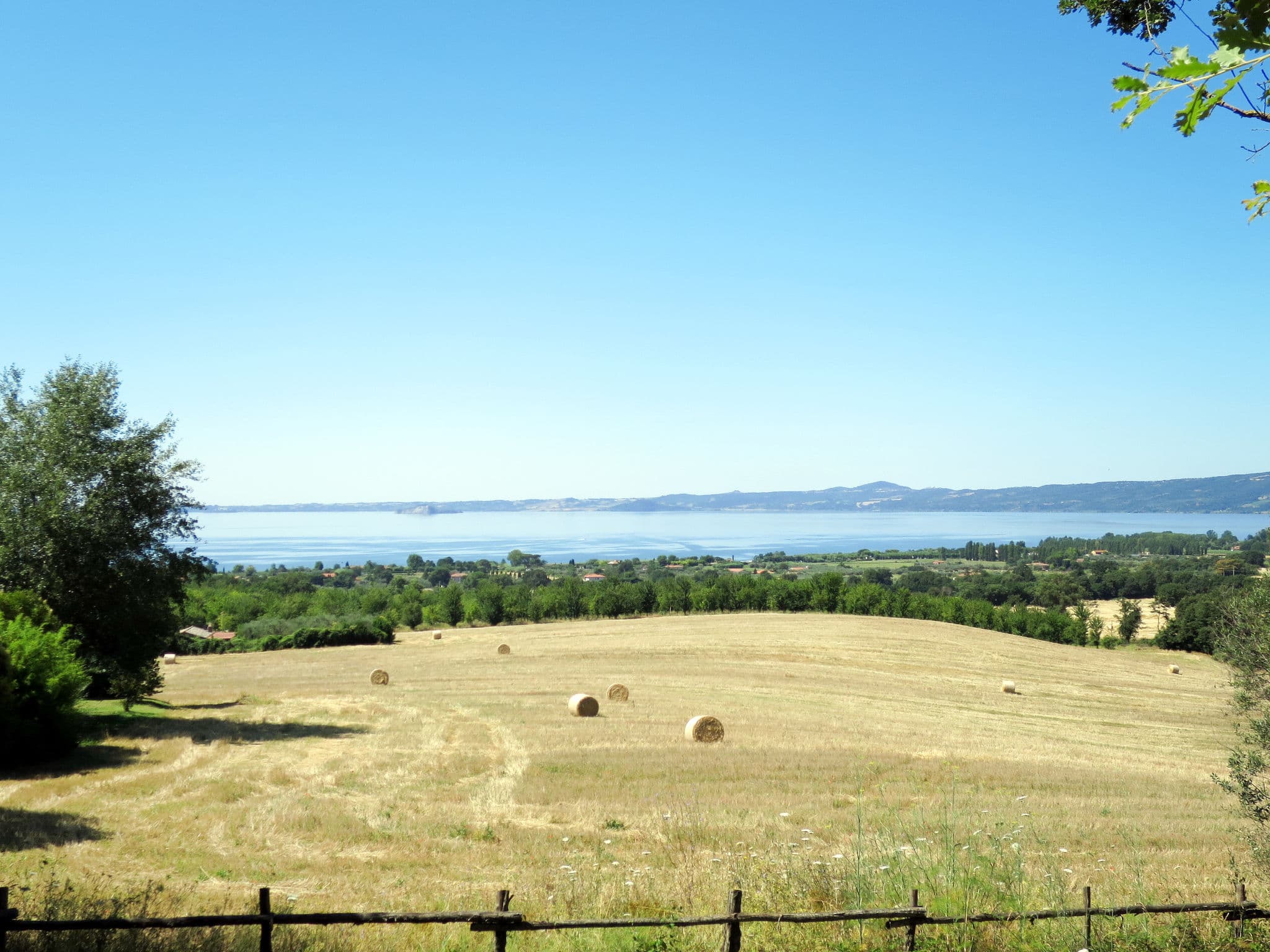 View