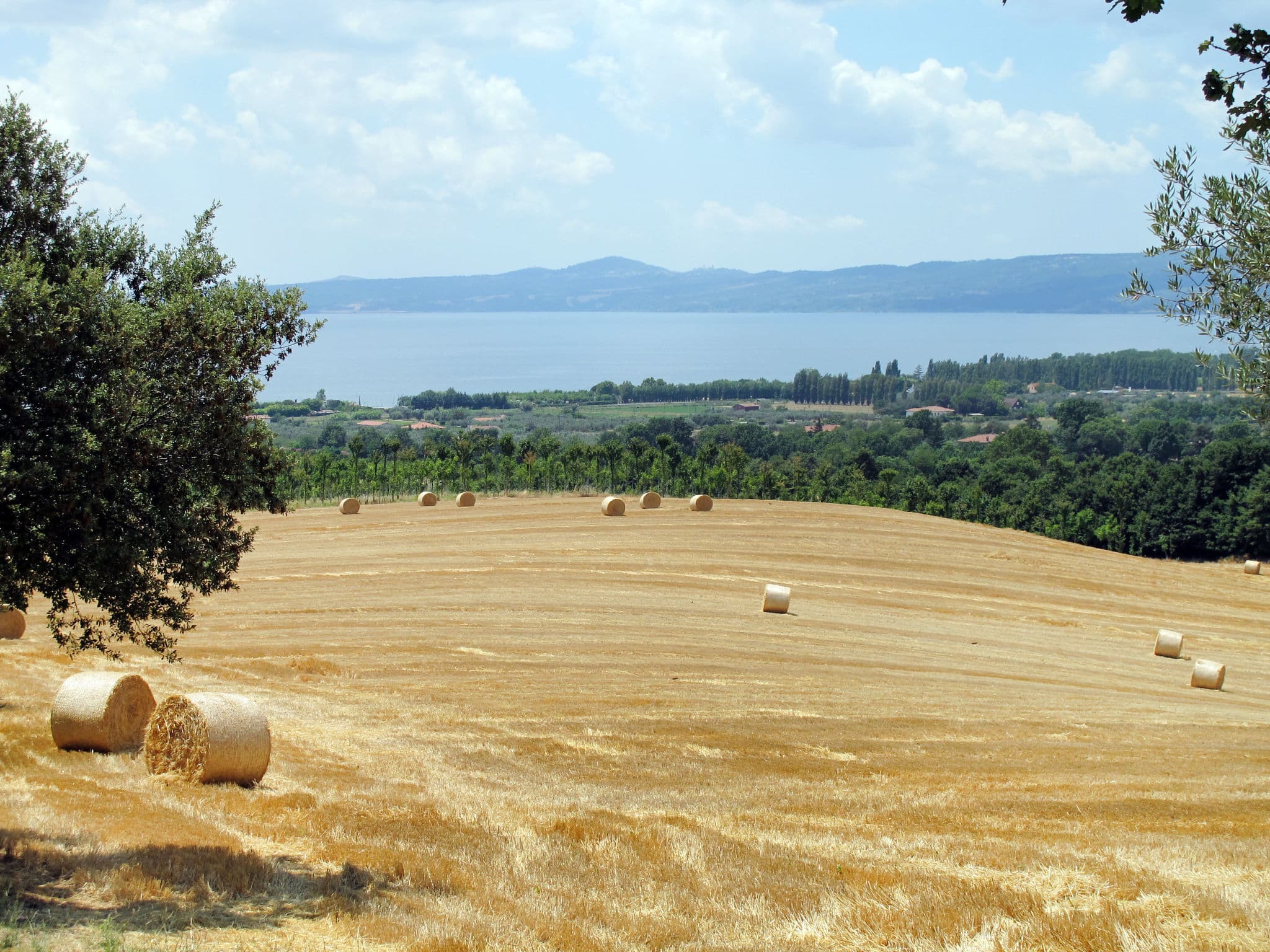 View