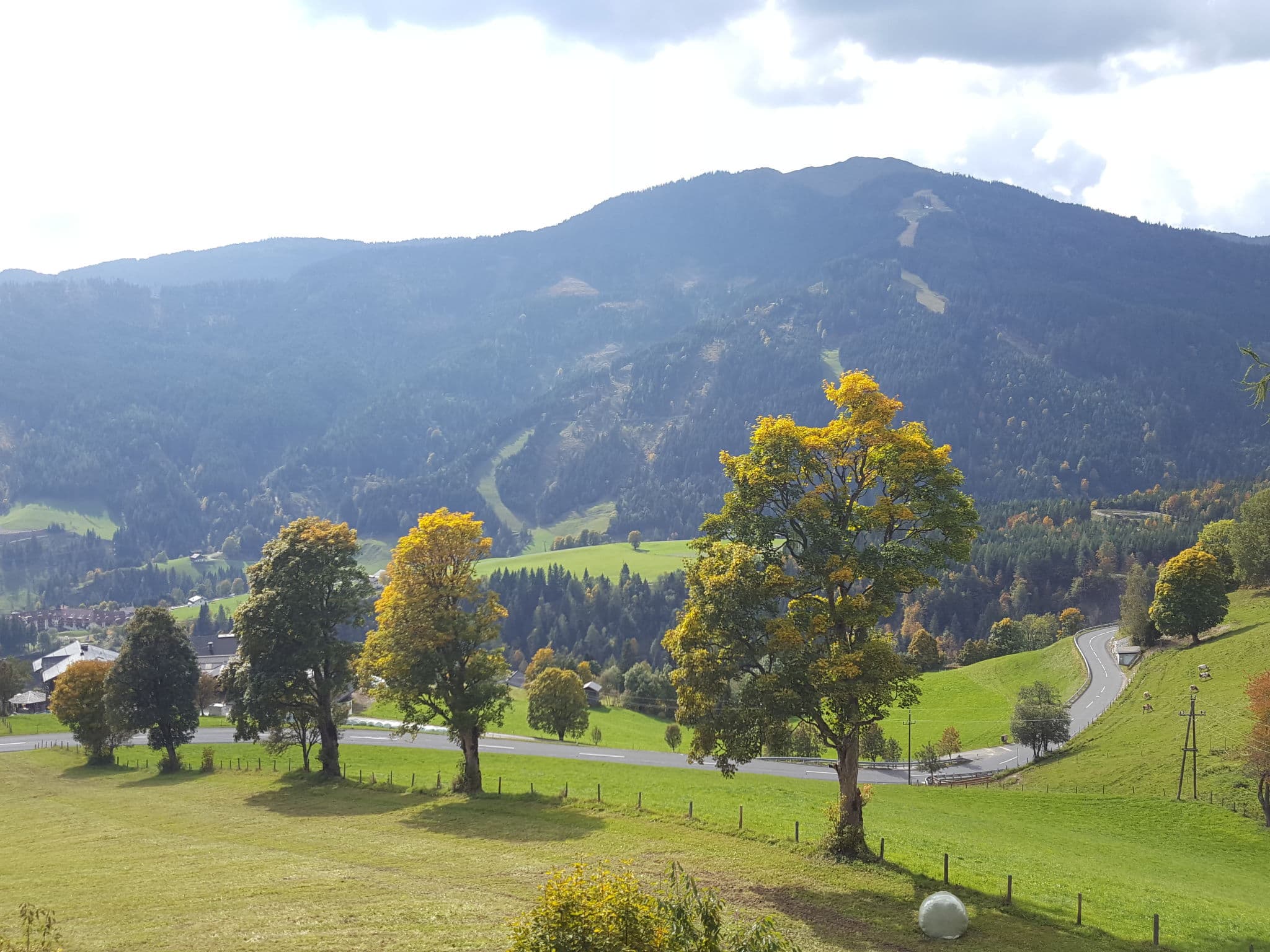 View