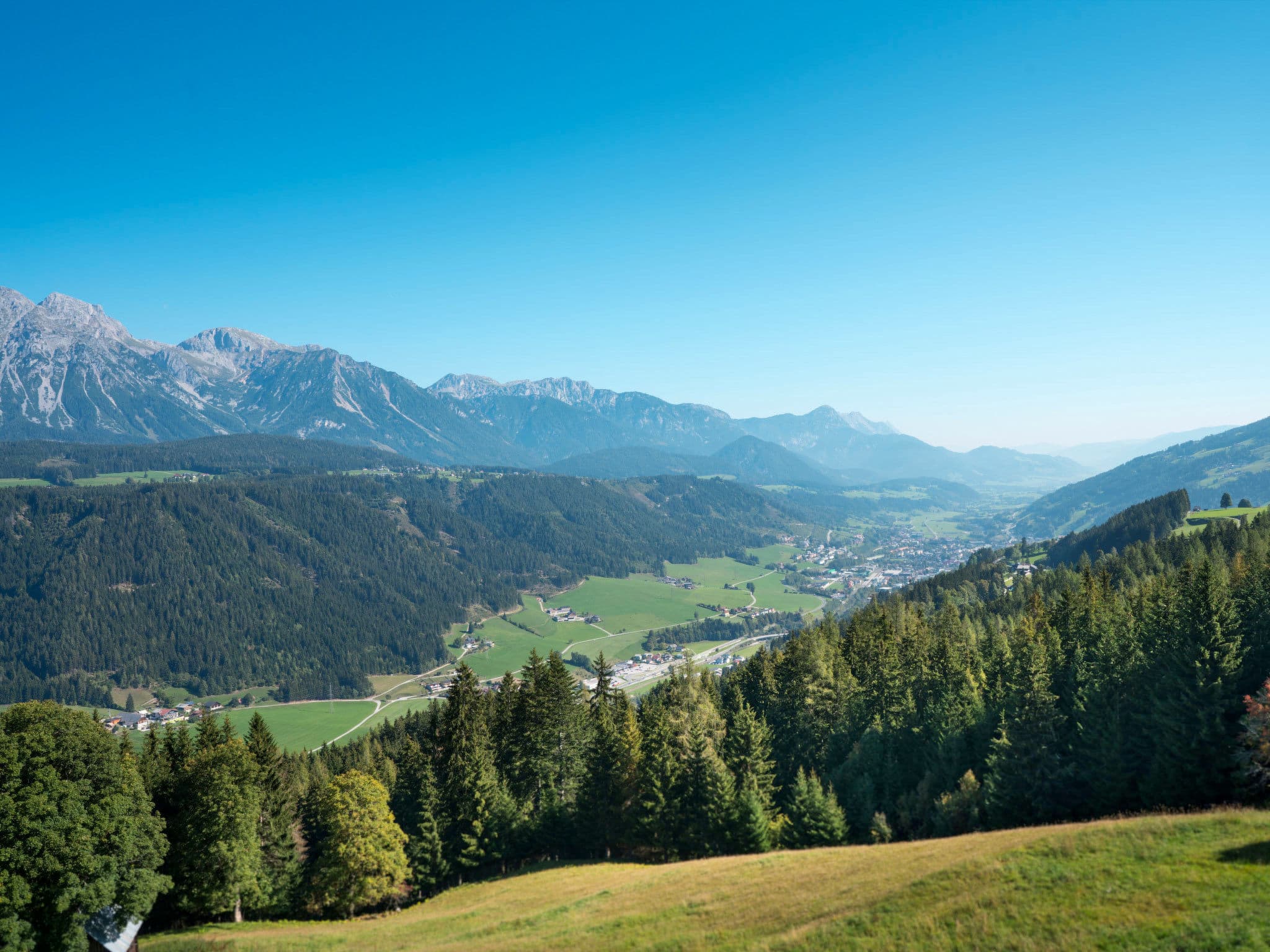 View