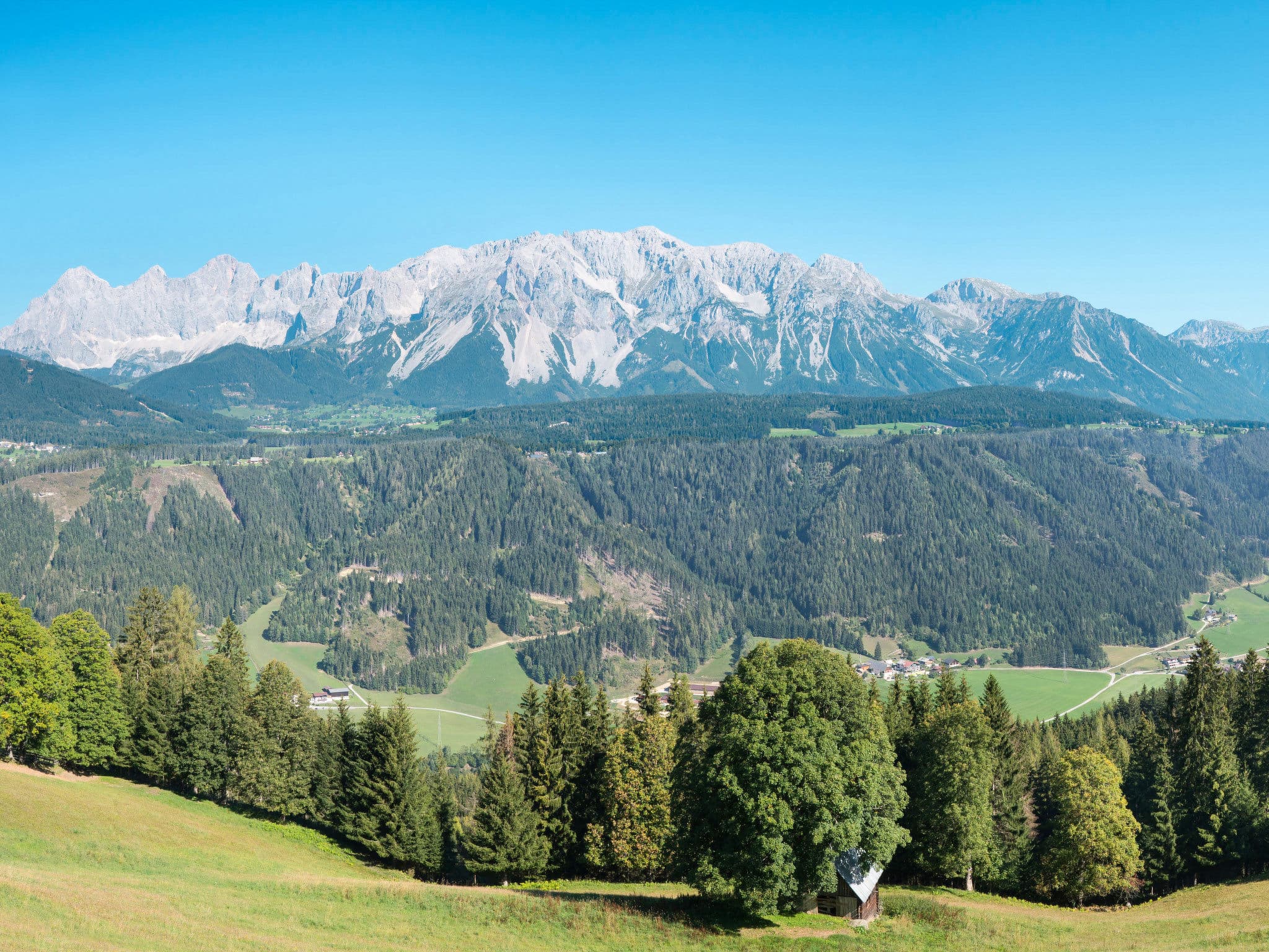 View