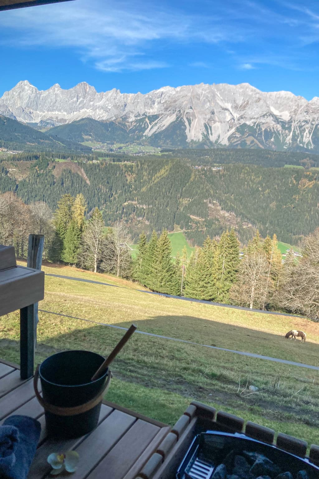 View