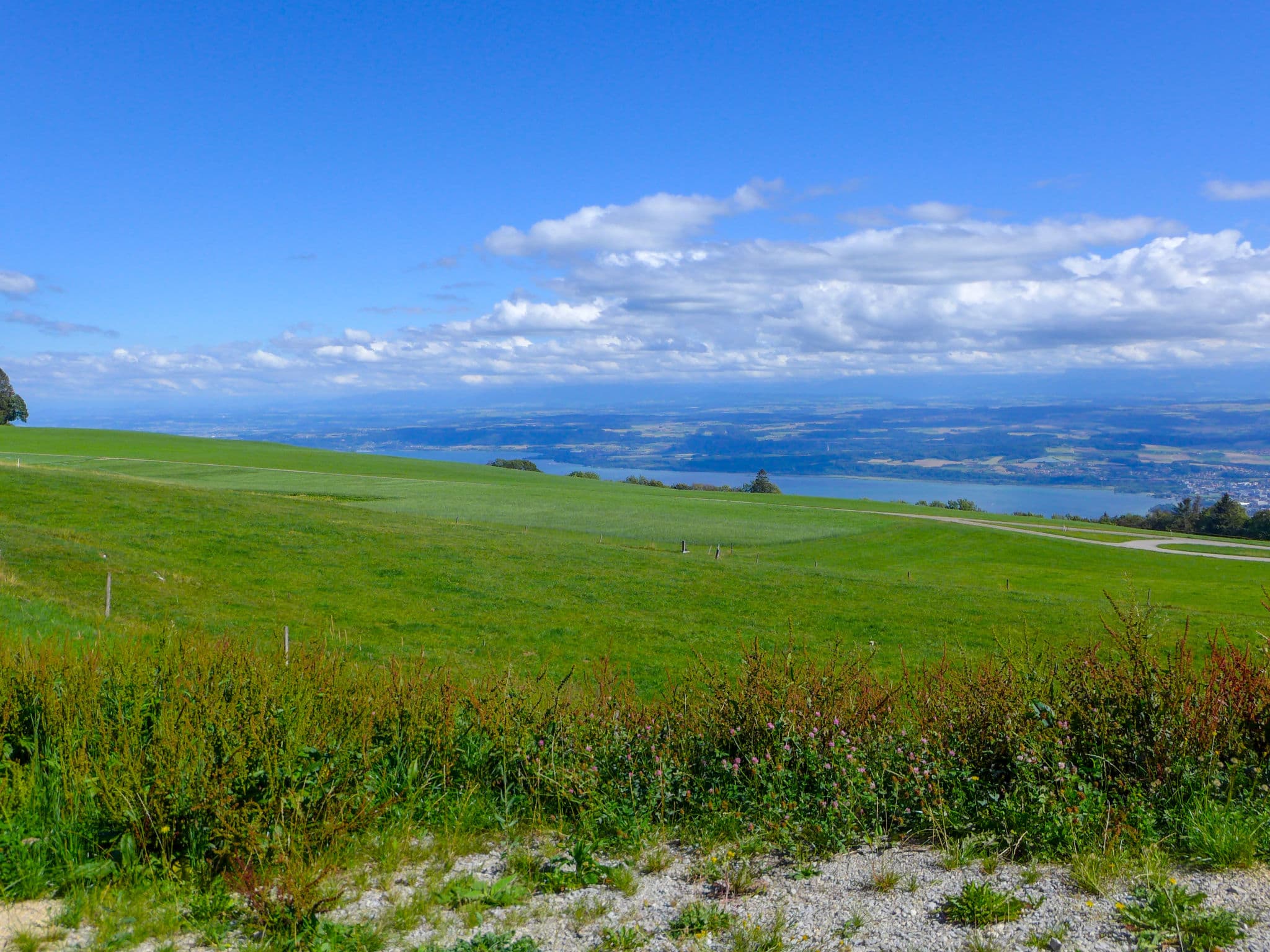 View