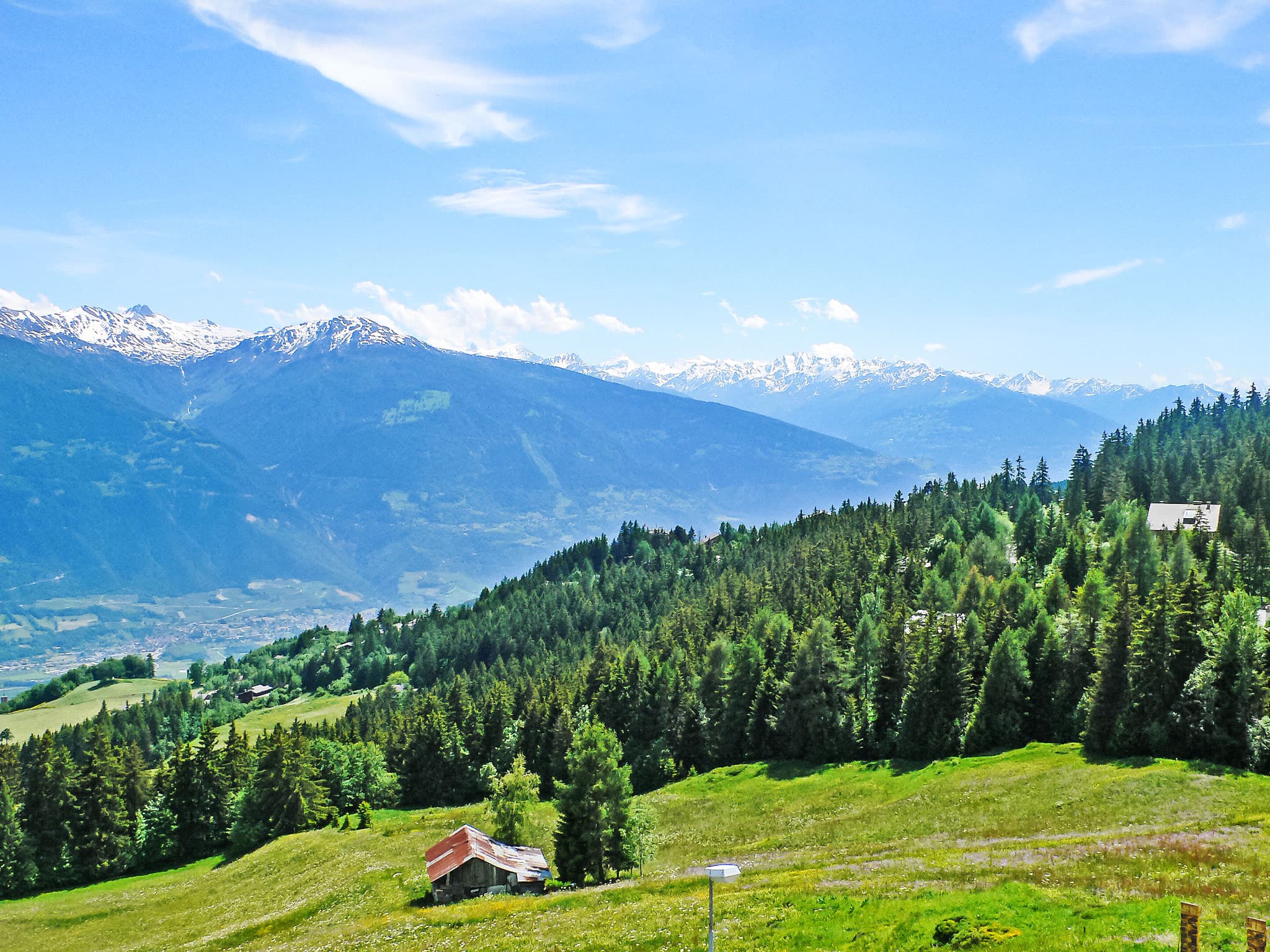 View