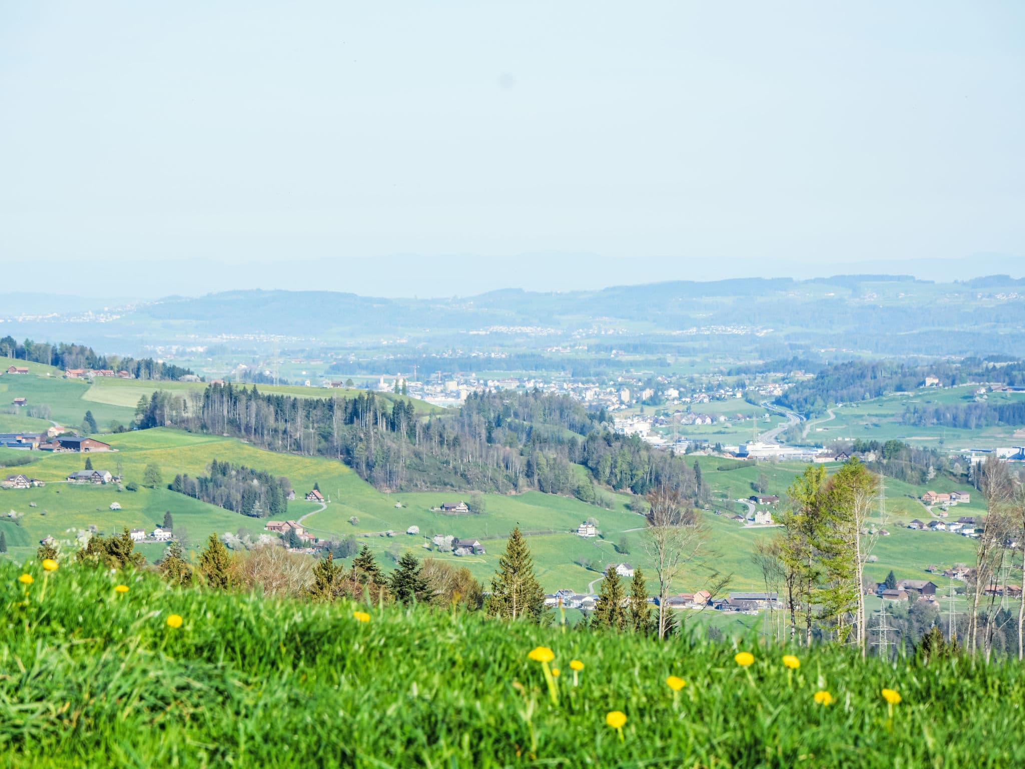 View