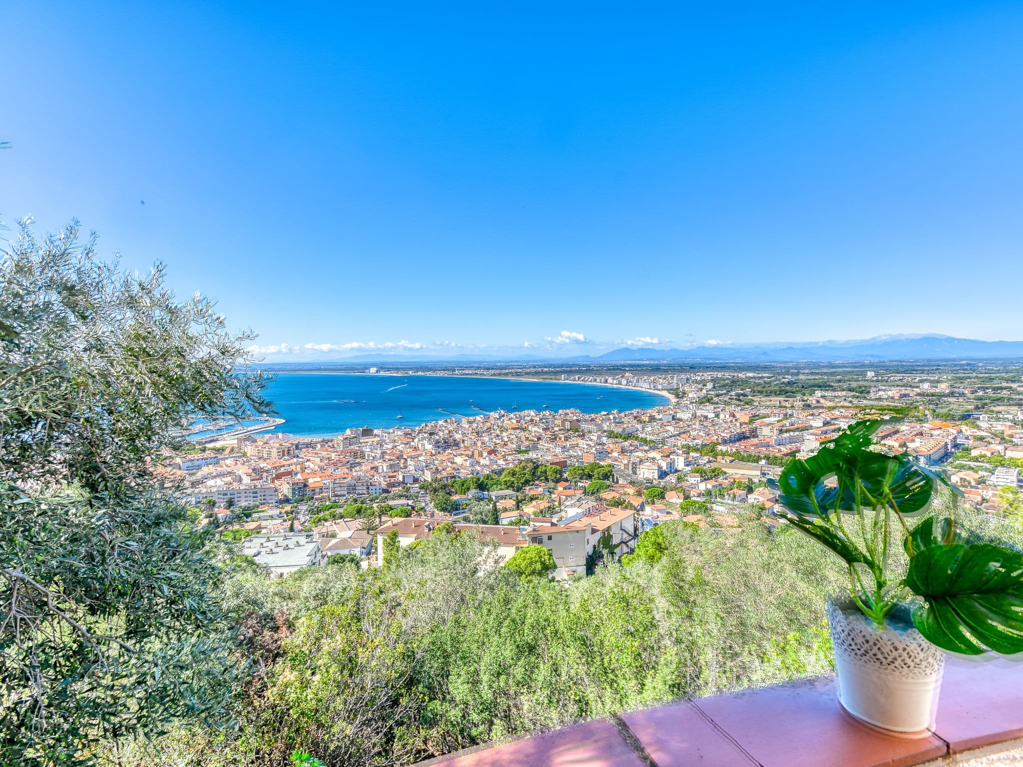 View