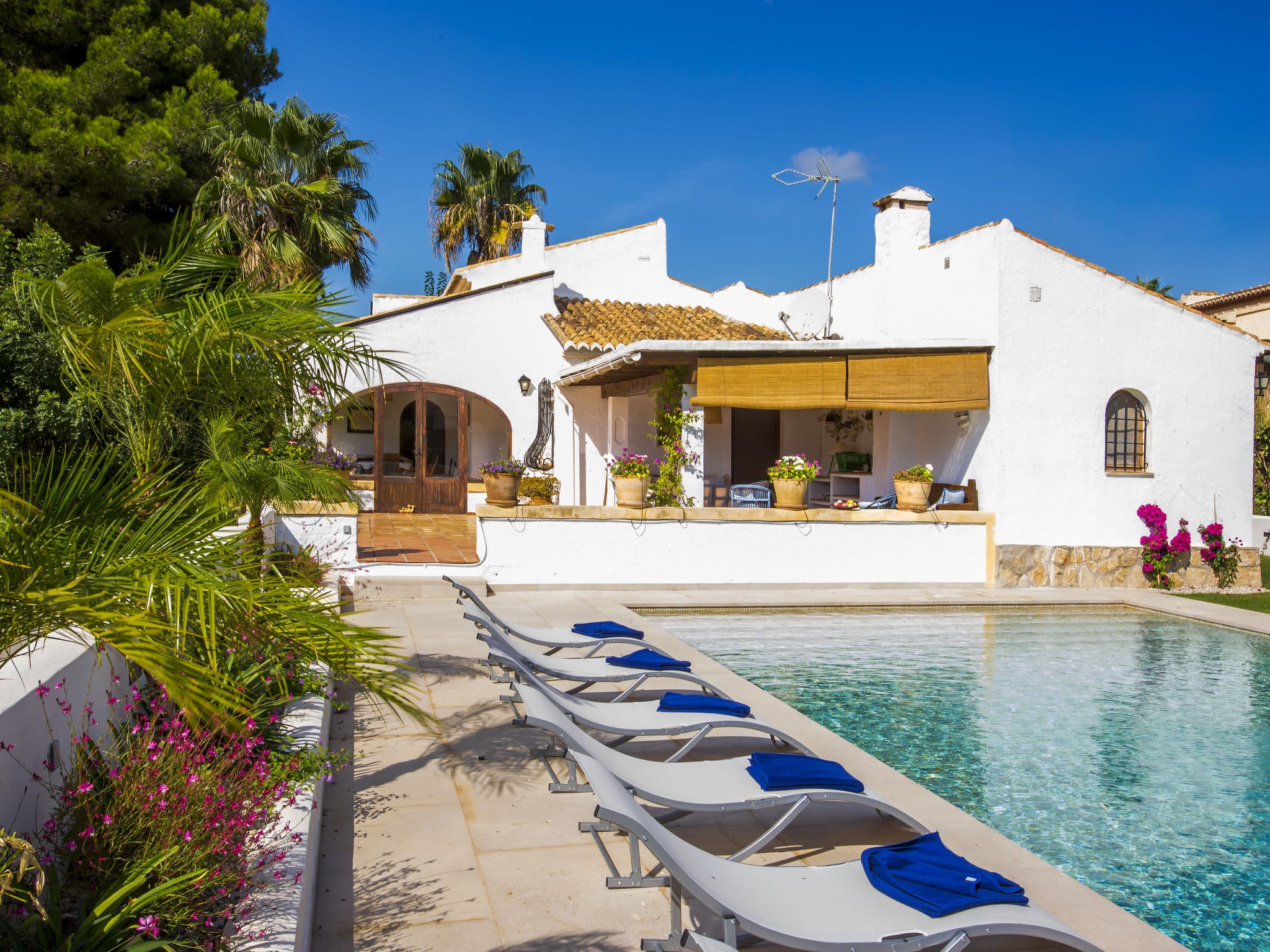 Pool Outdoor