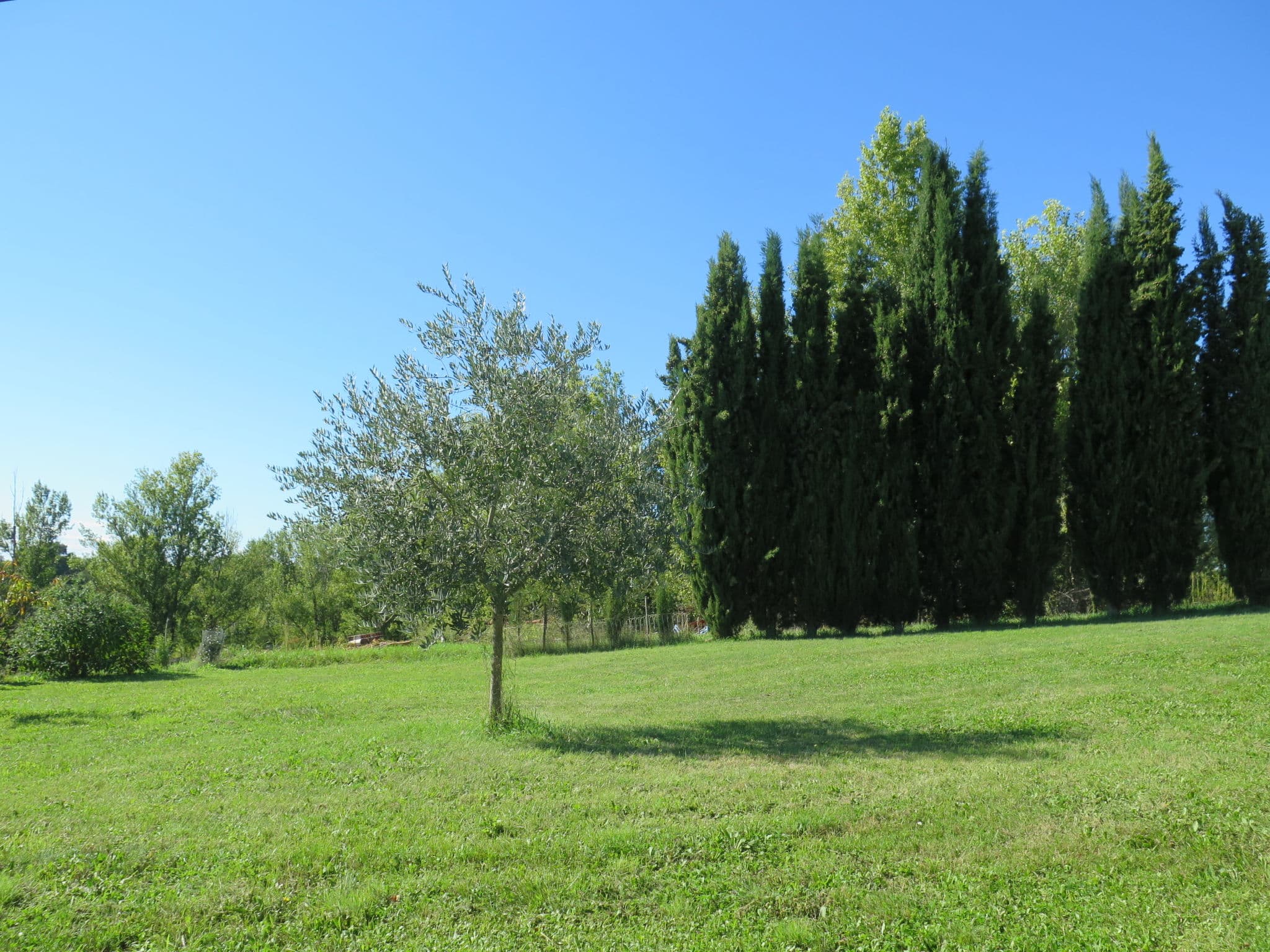Outdoor
