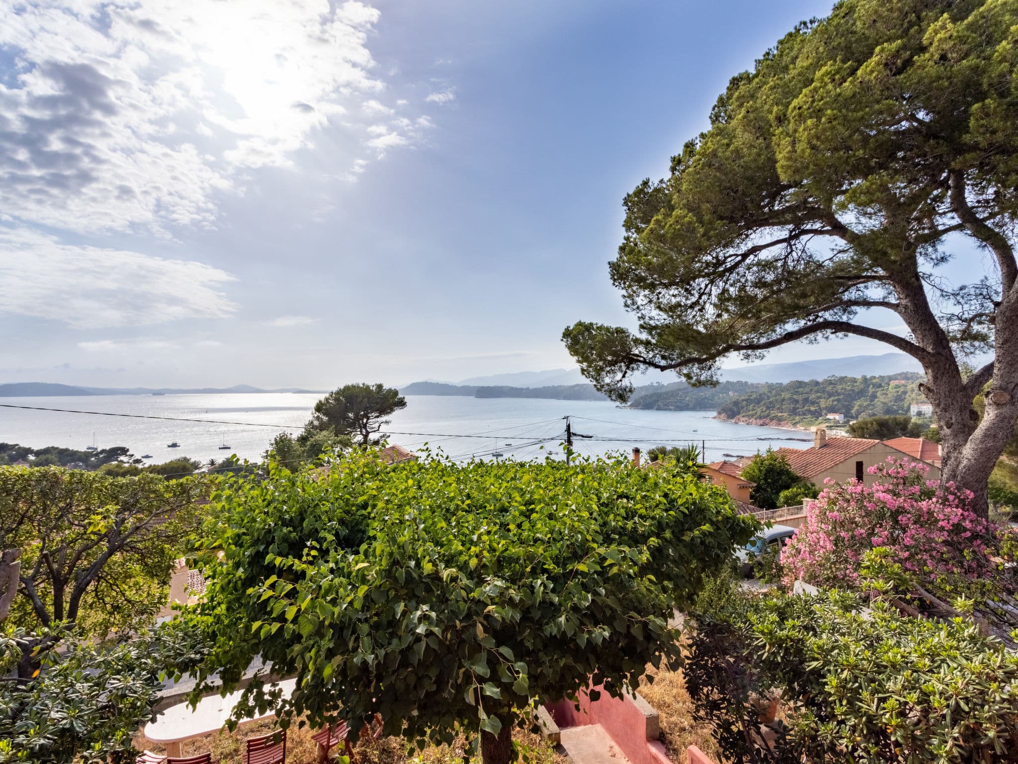 View