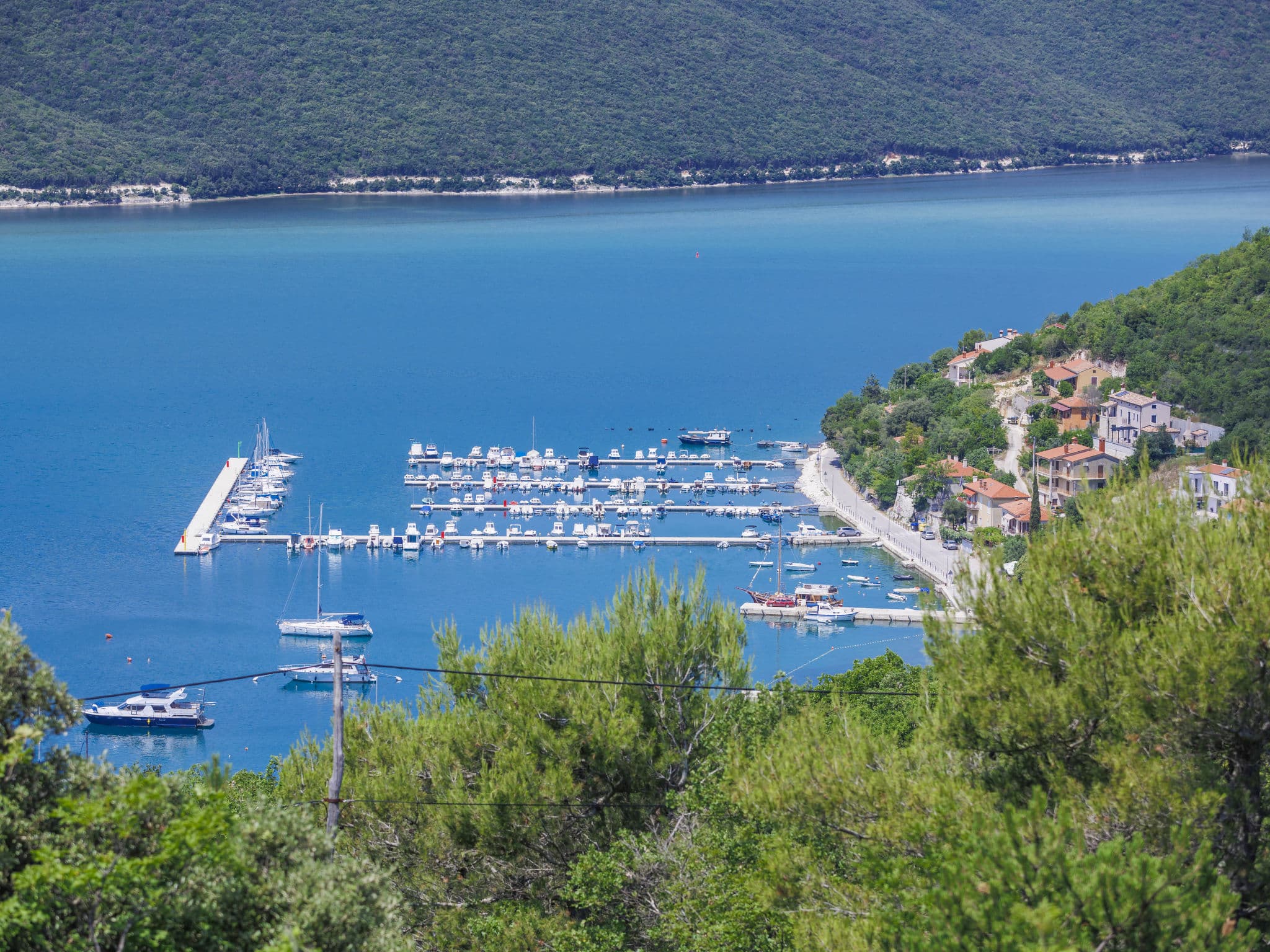 View