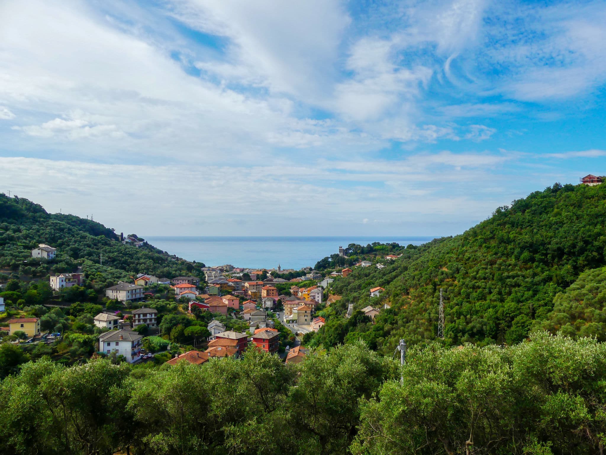 View