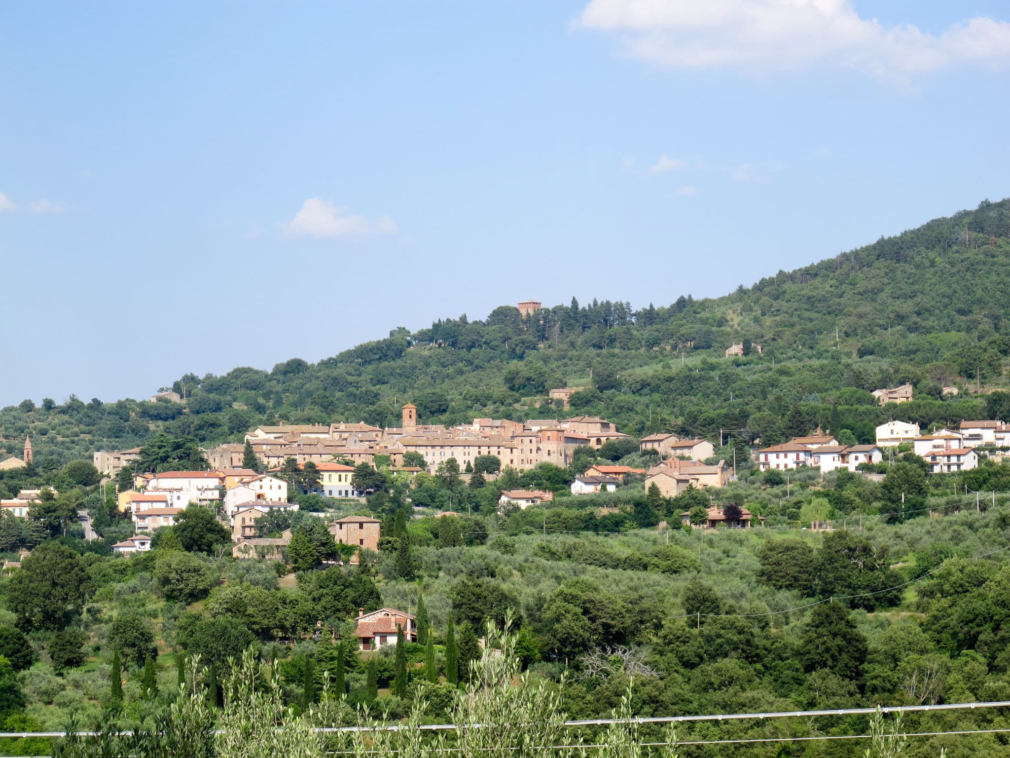 View