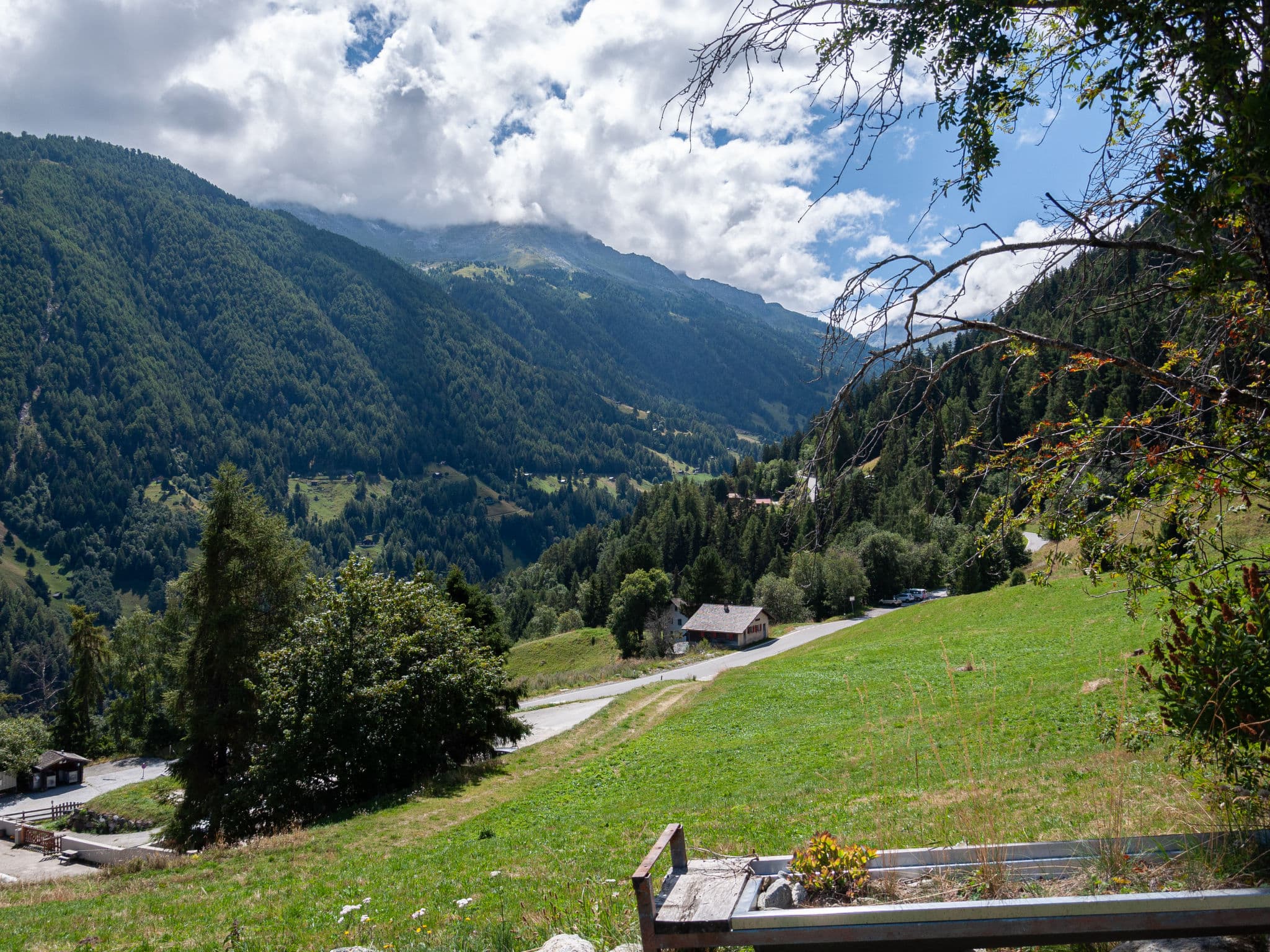 View