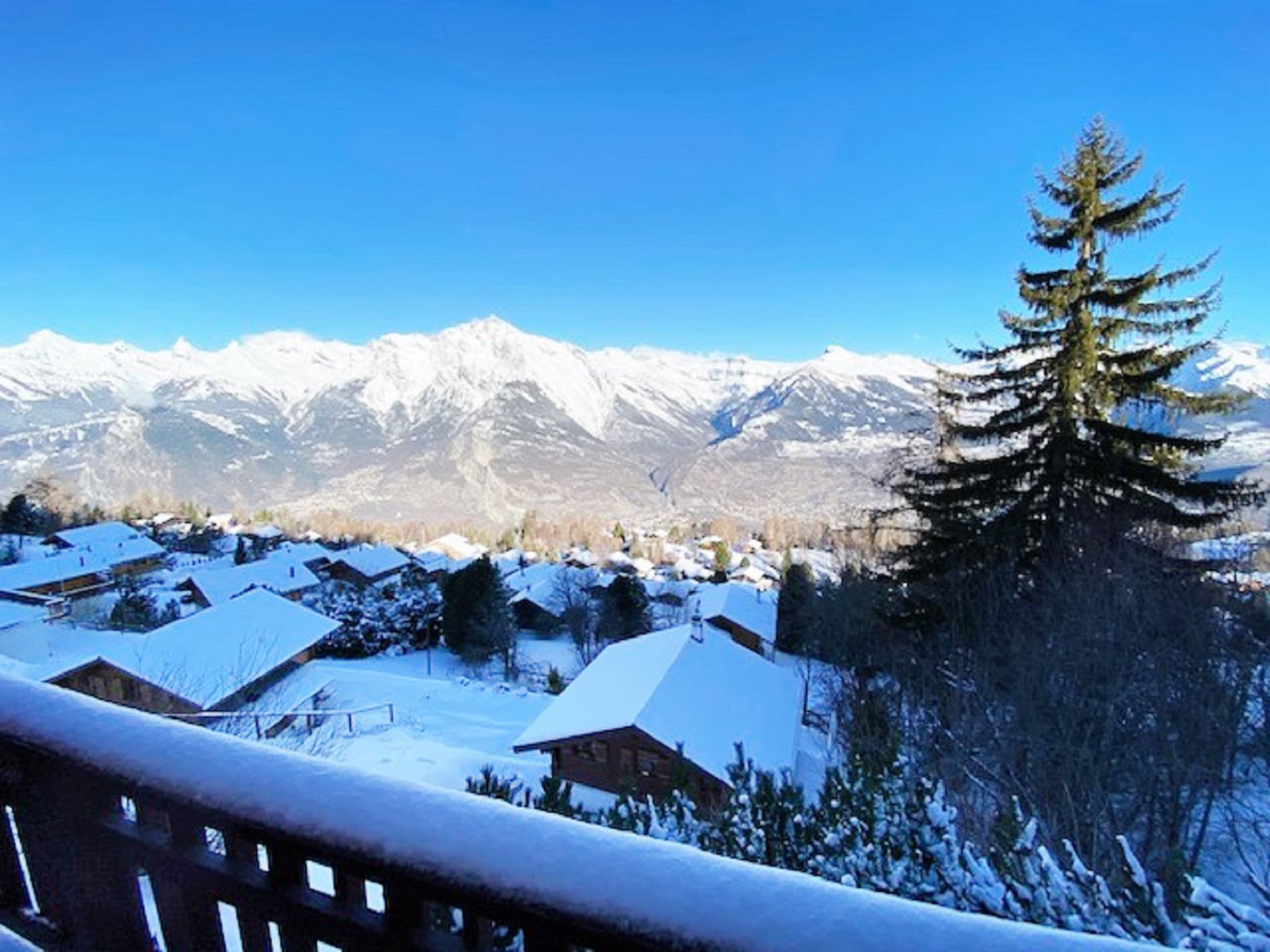 View