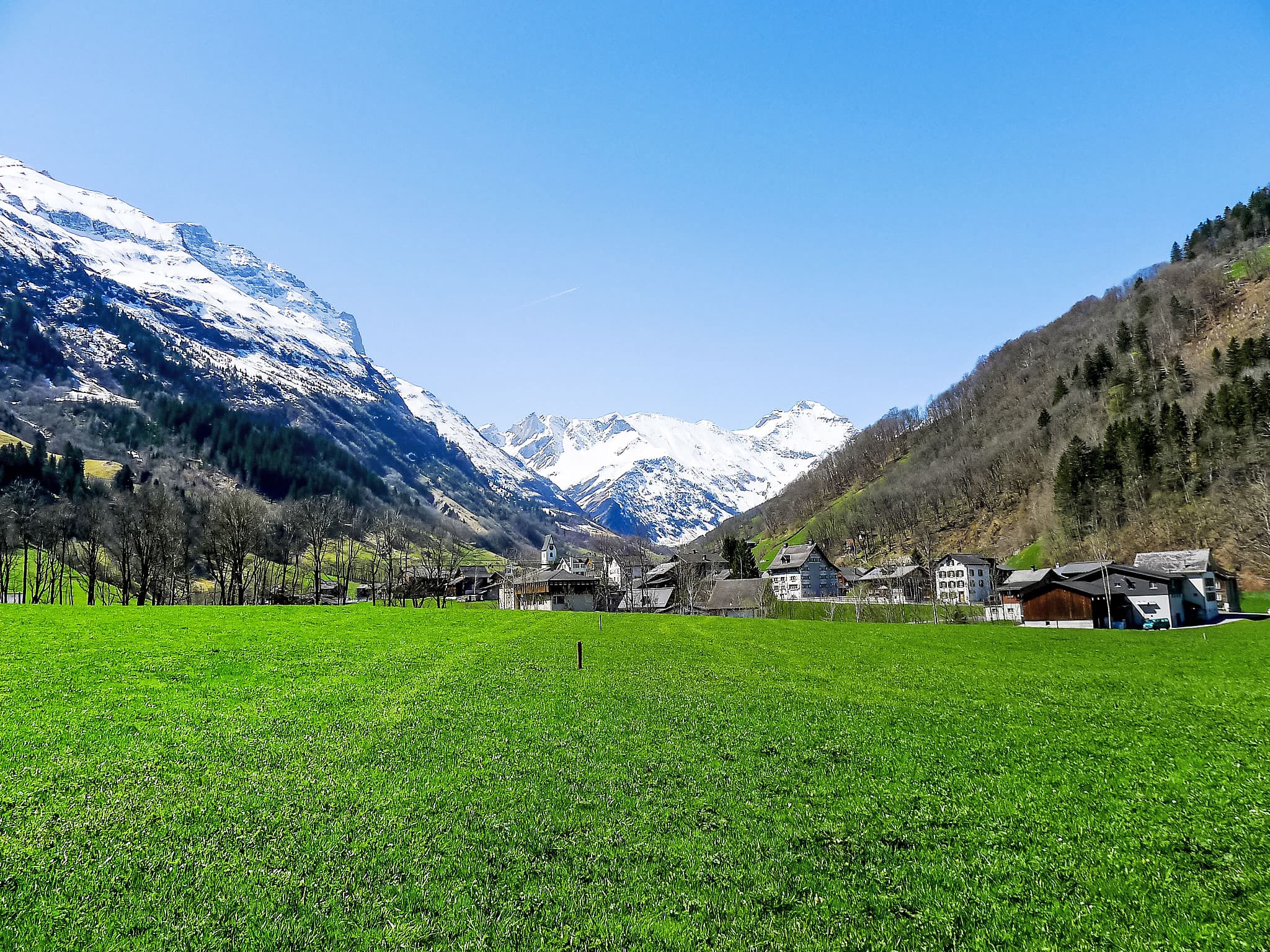 View