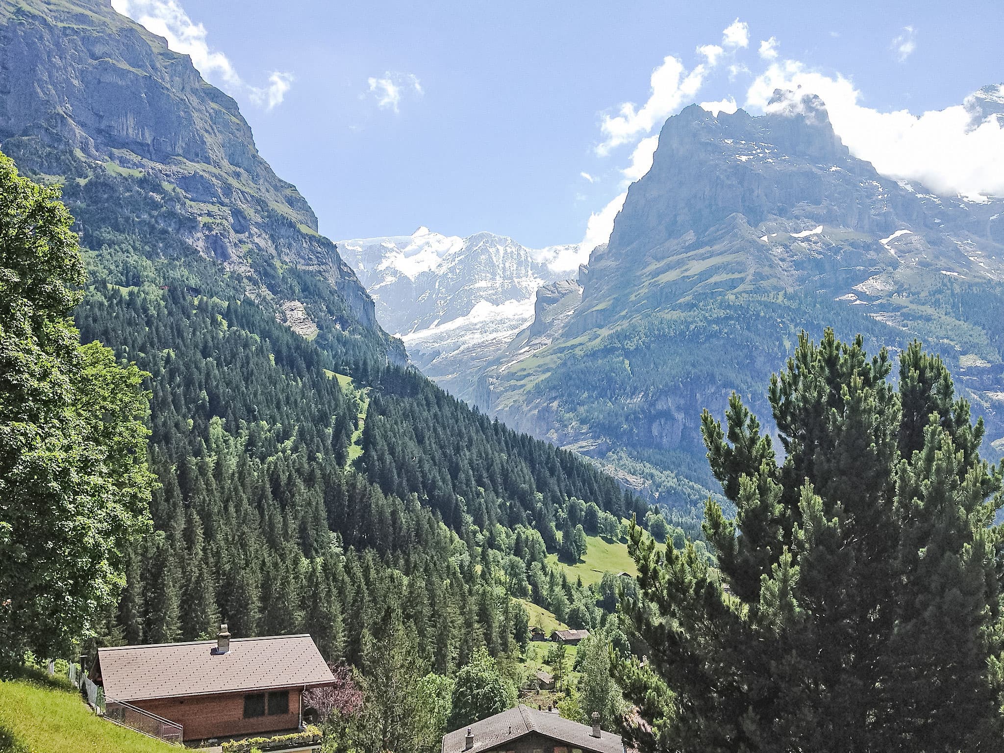 View
