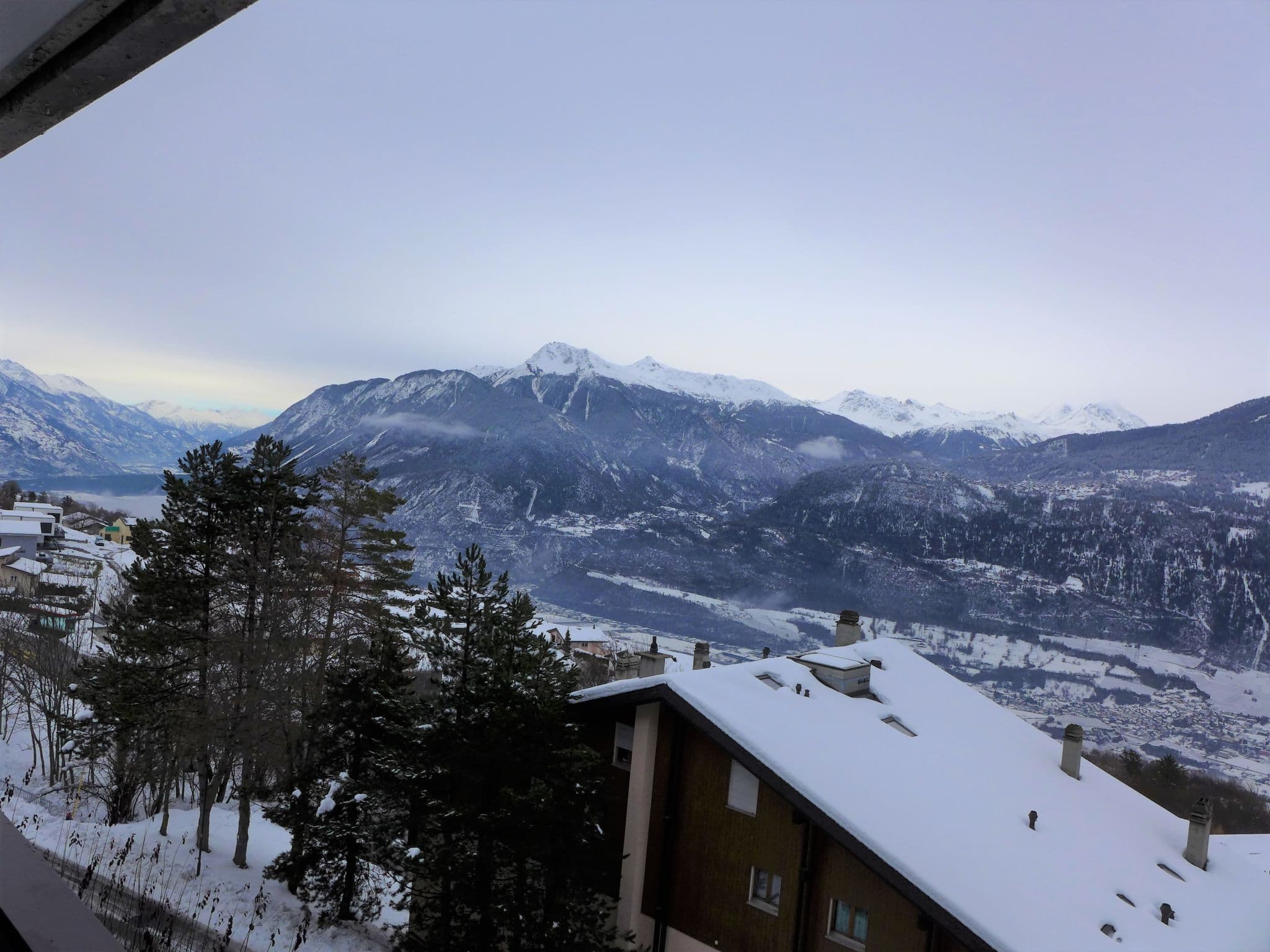 View