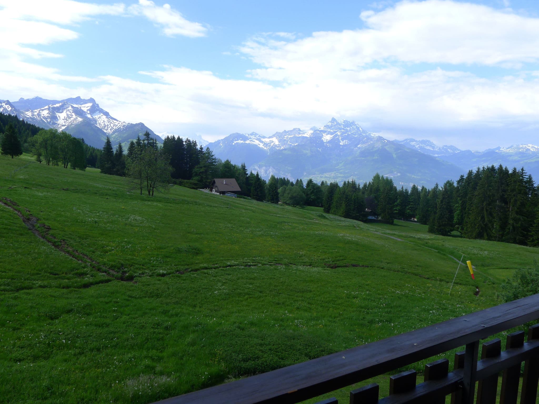 View