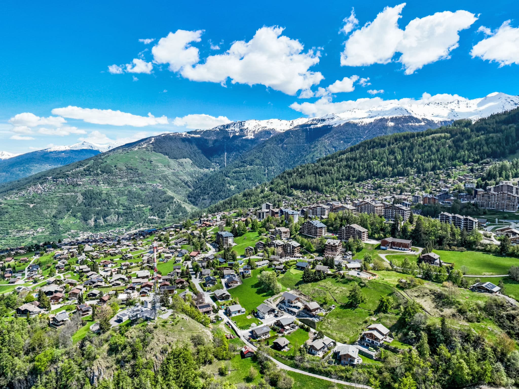 View