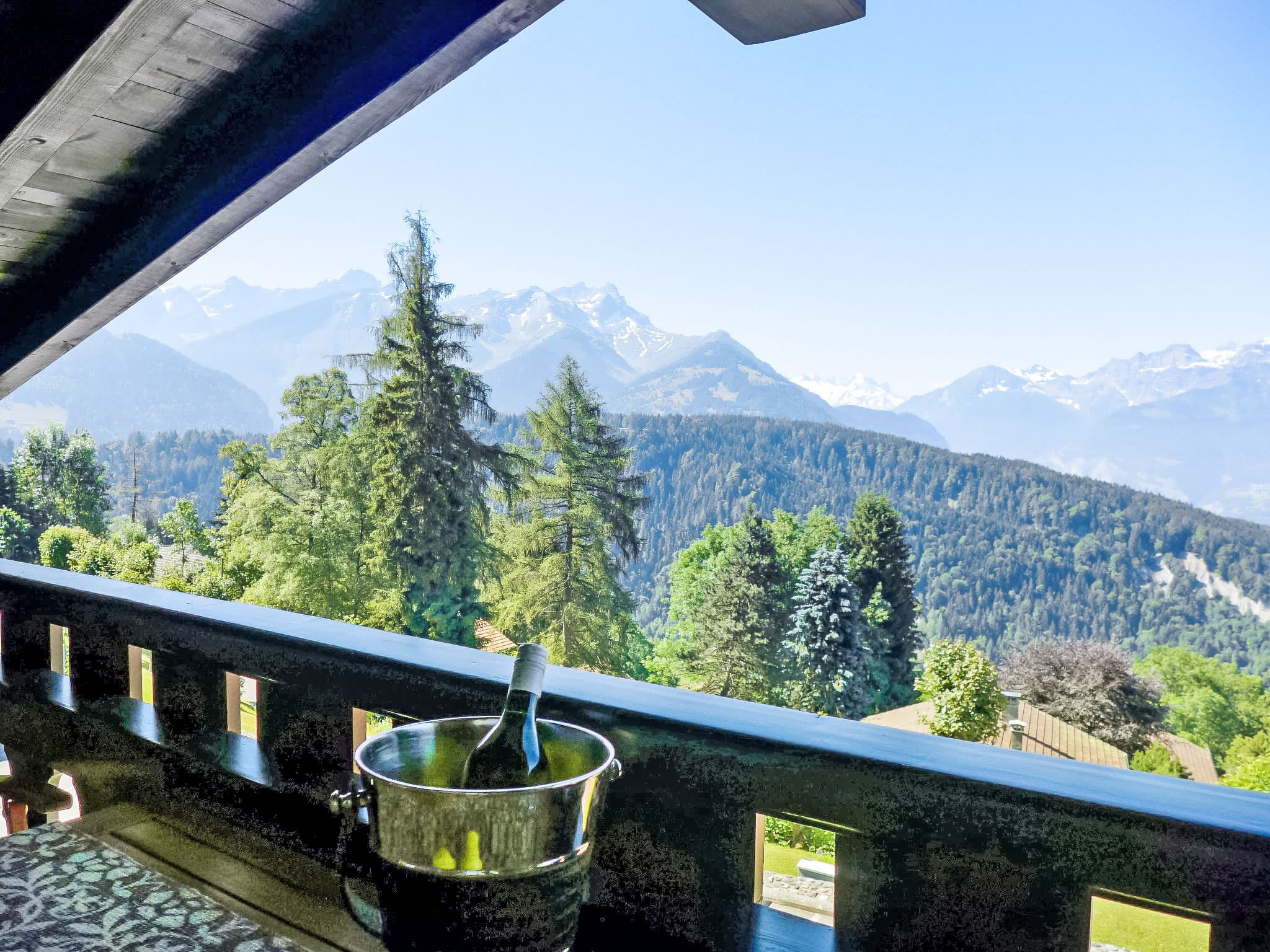 View