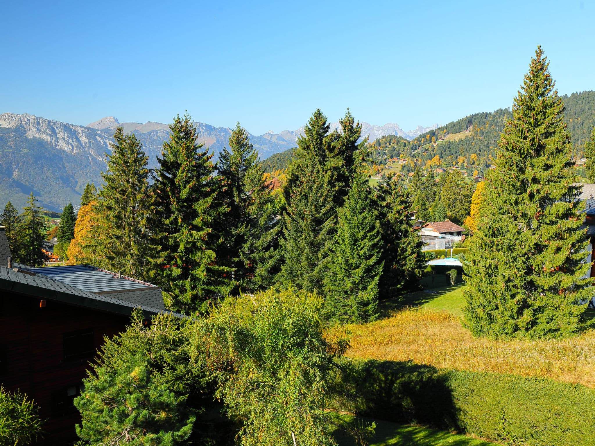 View
