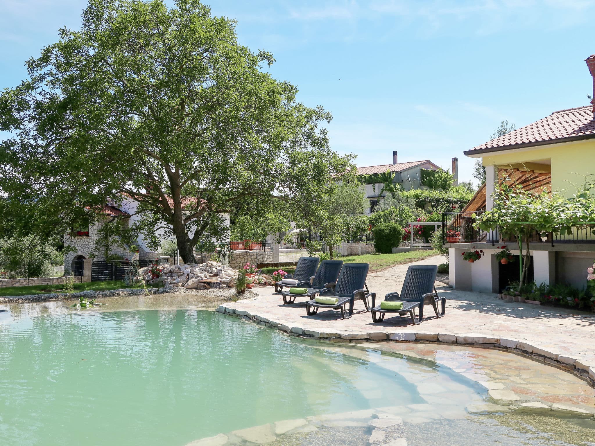 Pool Outdoor