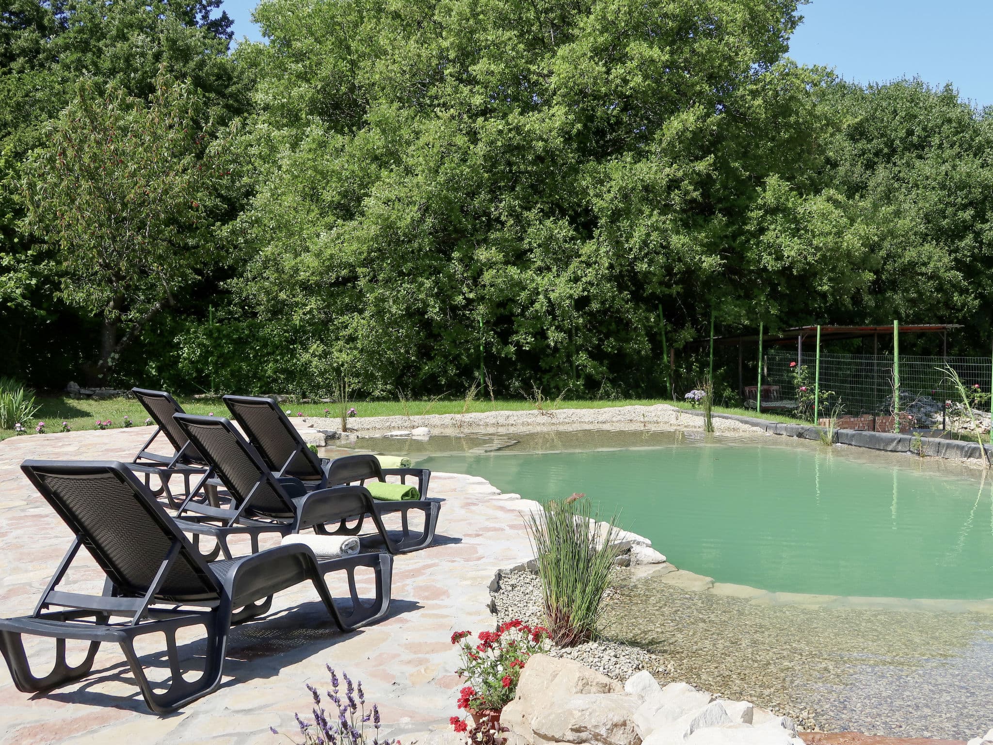 Pool Outdoor