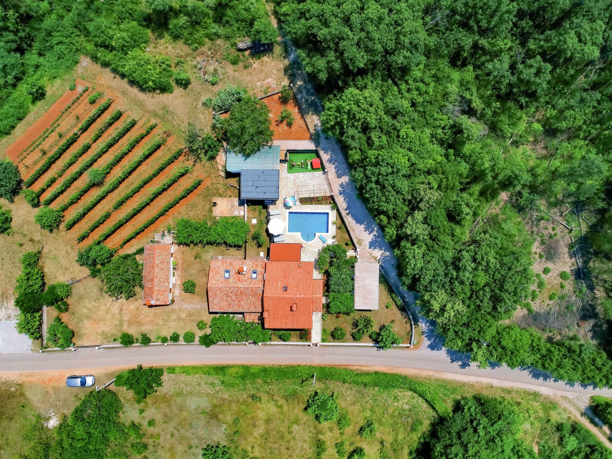 Aerial photography