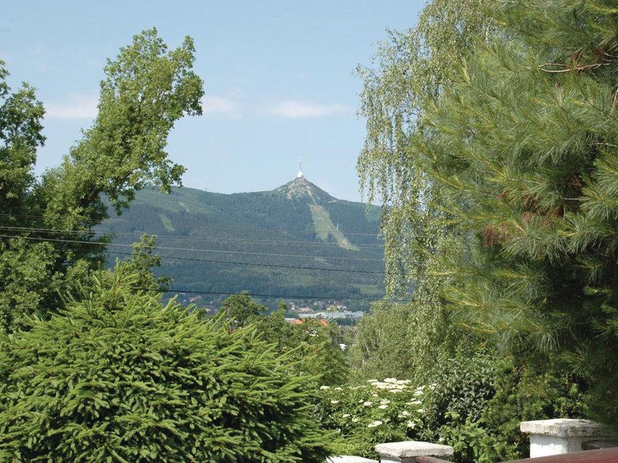 View