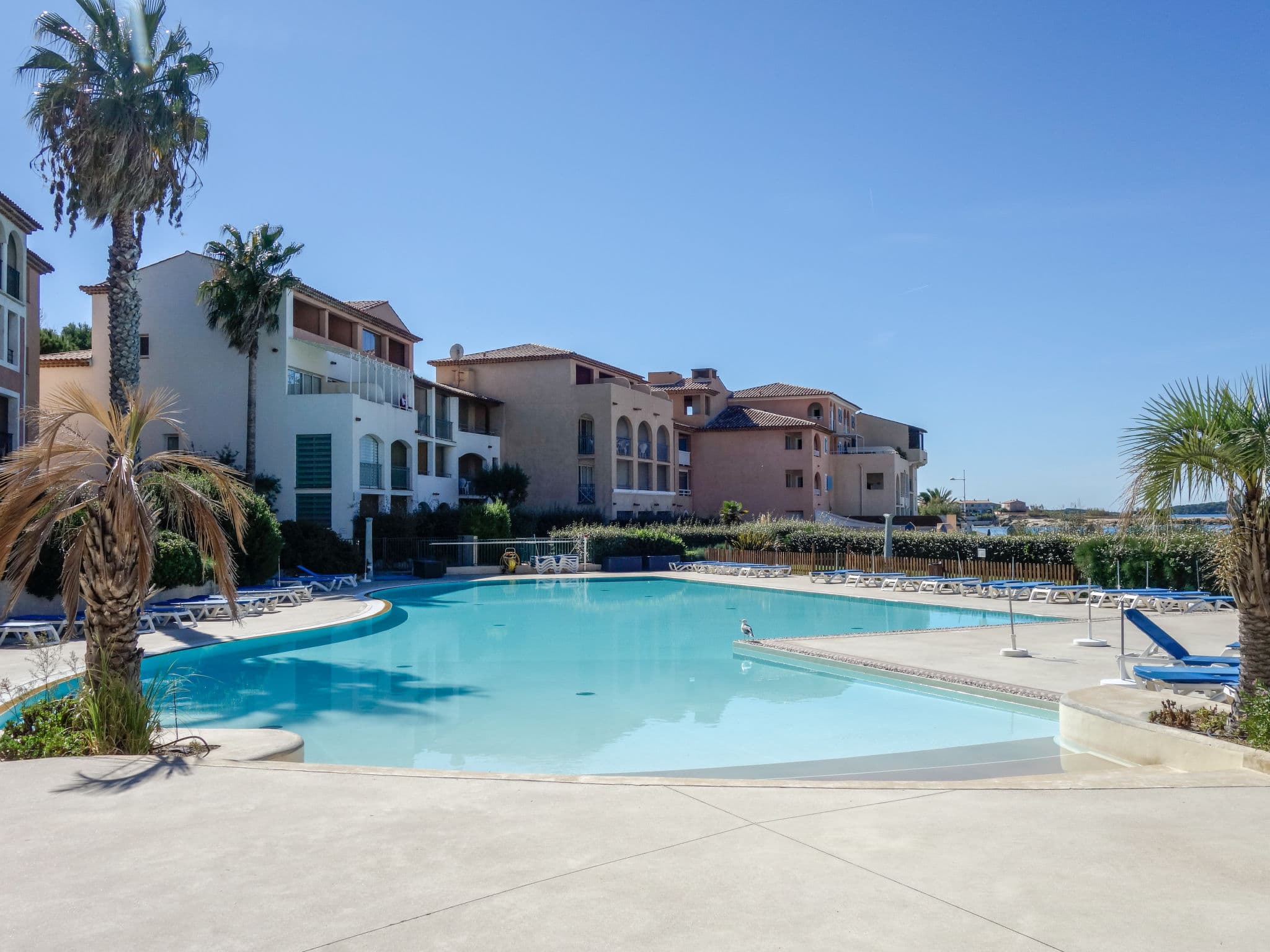 Pool Outdoor
