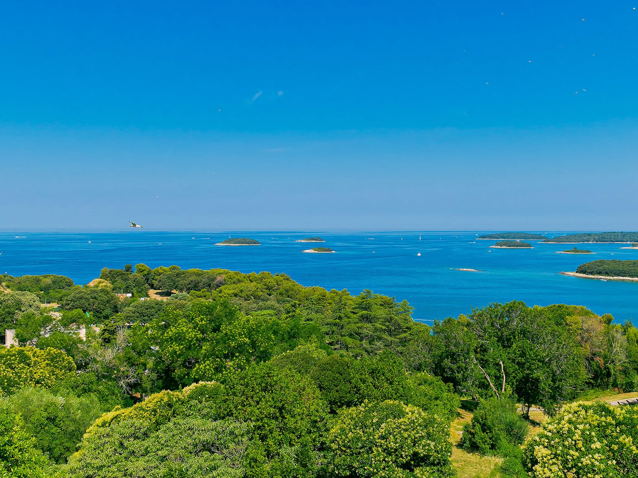 View