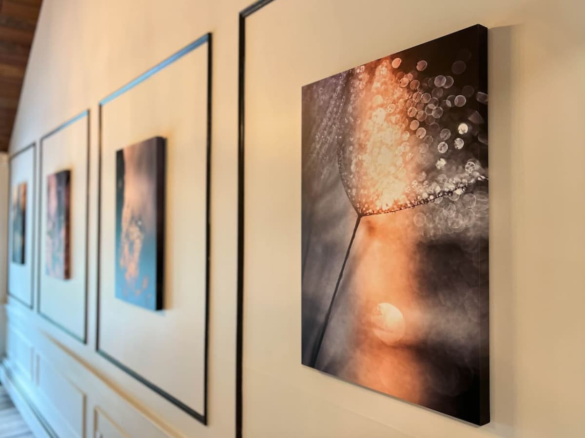 Gallery Image 25