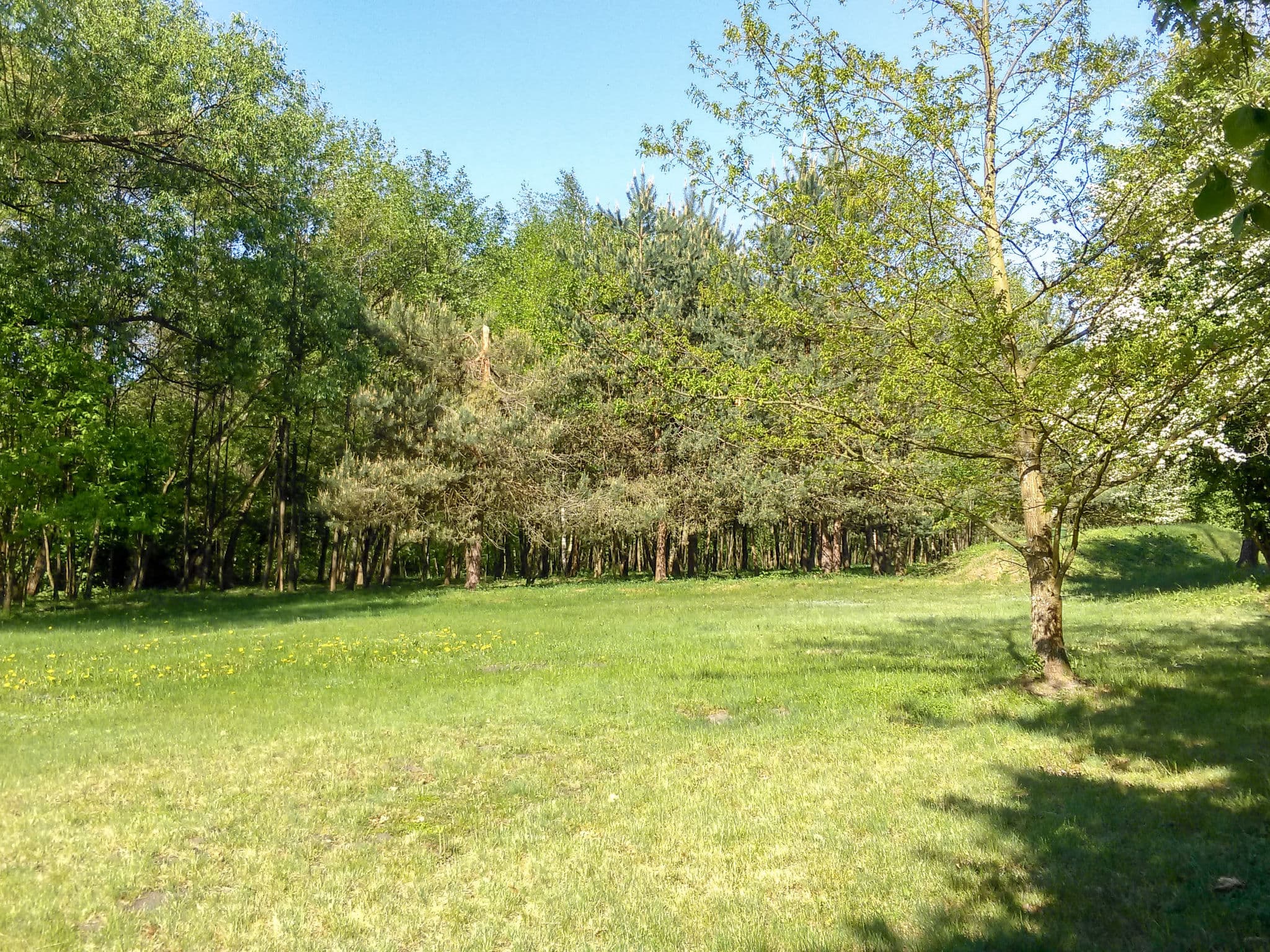 Place
